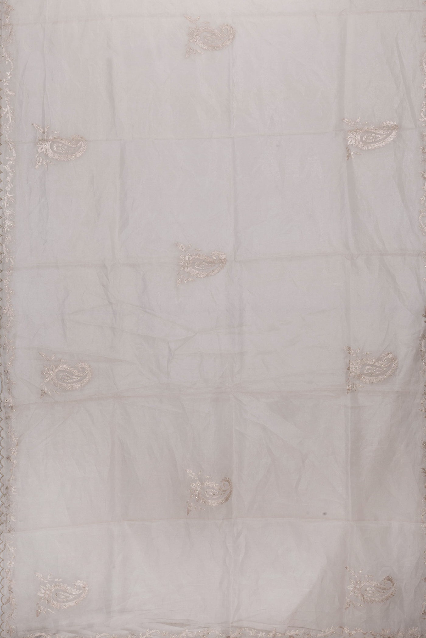 Flat view of Beige Dual Tone Organza Silk Saree with Embroidery on the body and Embroidery Border. 