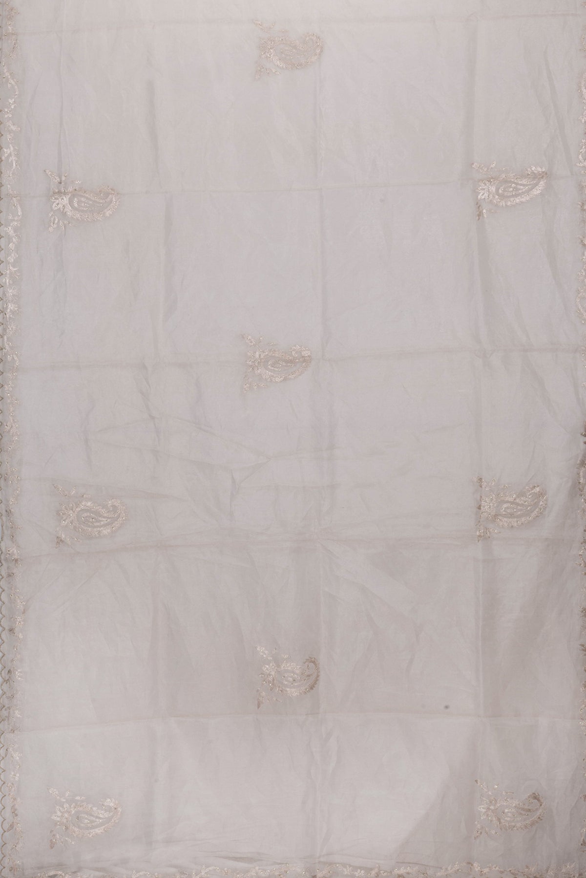 Flat view of Beige Dual Tone Organza Silk Saree with Embroidery on the body and Embroidery Border. 