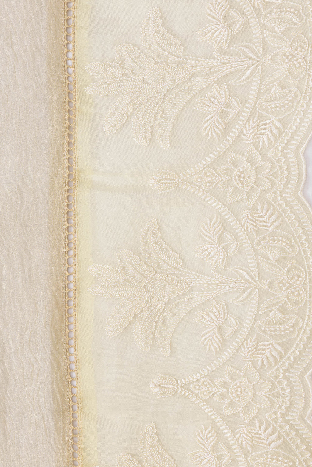 Border image of Beige Dual Tone Organza Silk Saree with Plain Body and Fancy Border. 
