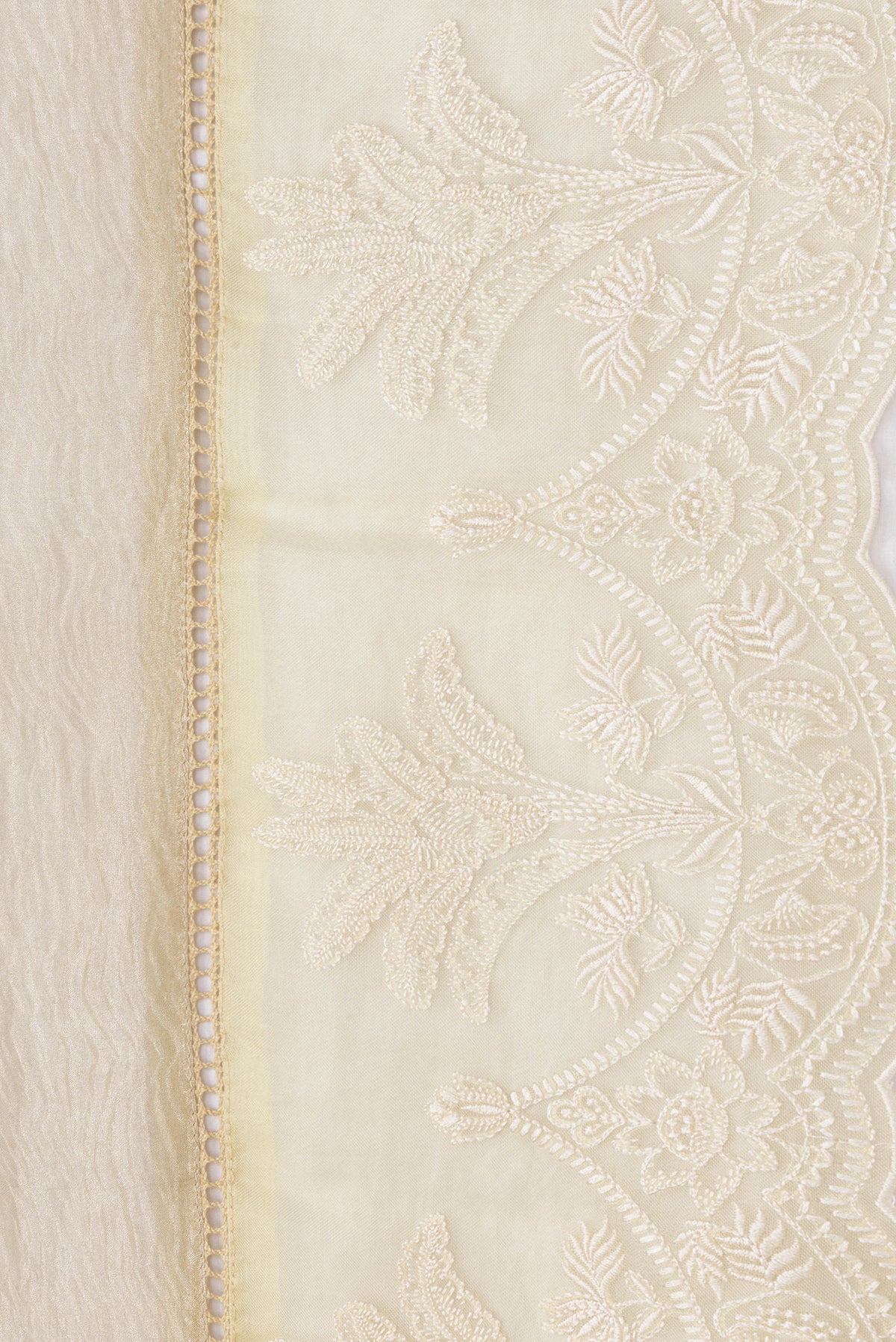 Border image of Beige Dual Tone Organza Silk Saree with Plain Body and Fancy Border. 