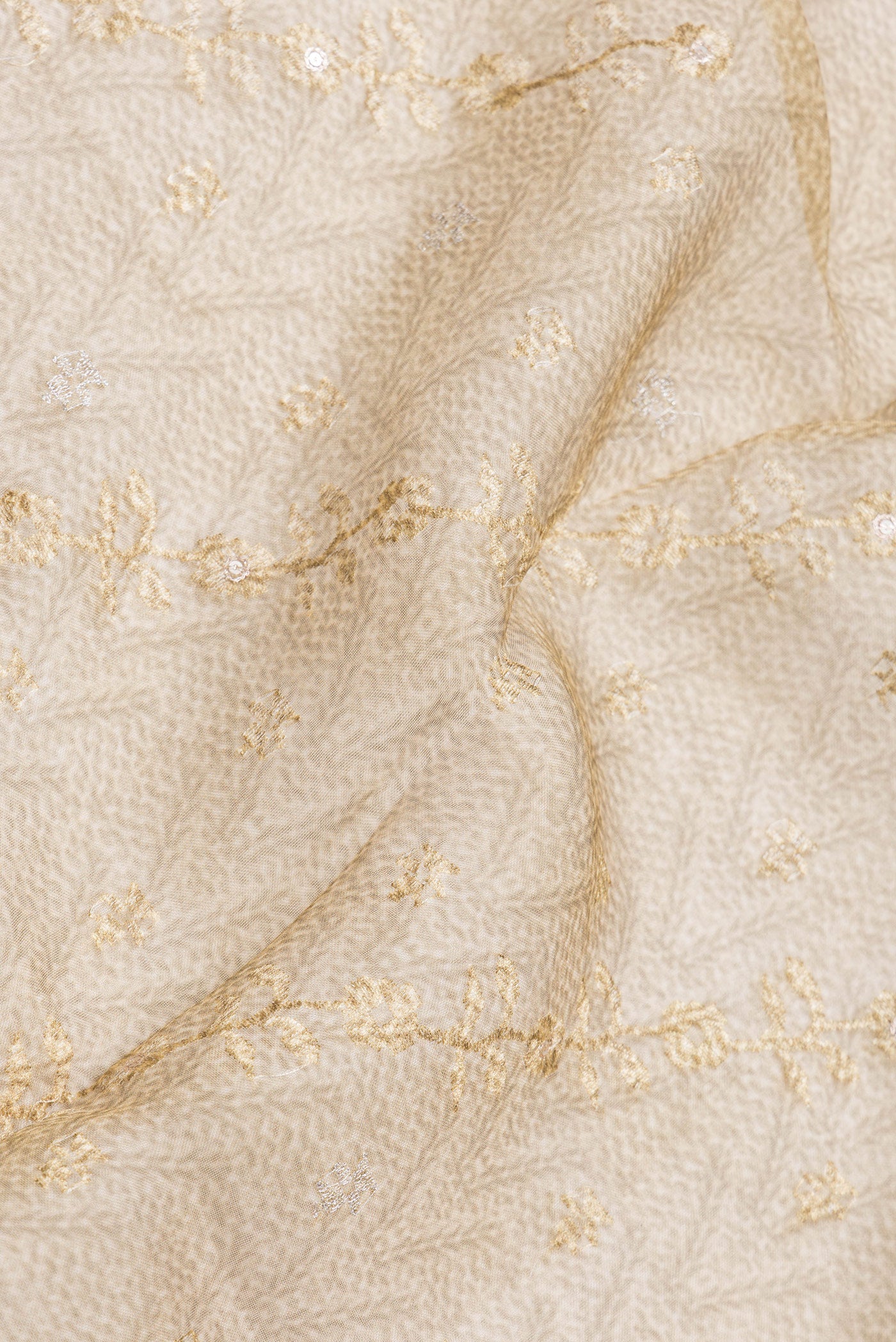 Close up of Beige Dual Tone Organza Silk Saree with Embroidery on the body and Embroidery Border.  displaying folds