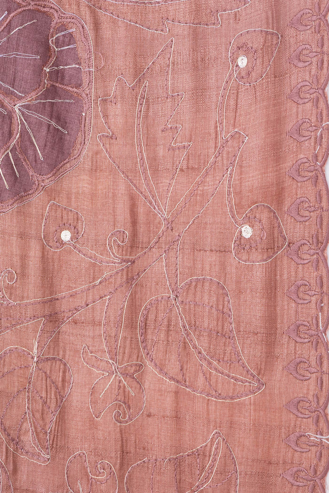 Border image of Golden Peach Dual Tone Tussar Silk Saree with Embroidery on the body and Embroidery Border. 