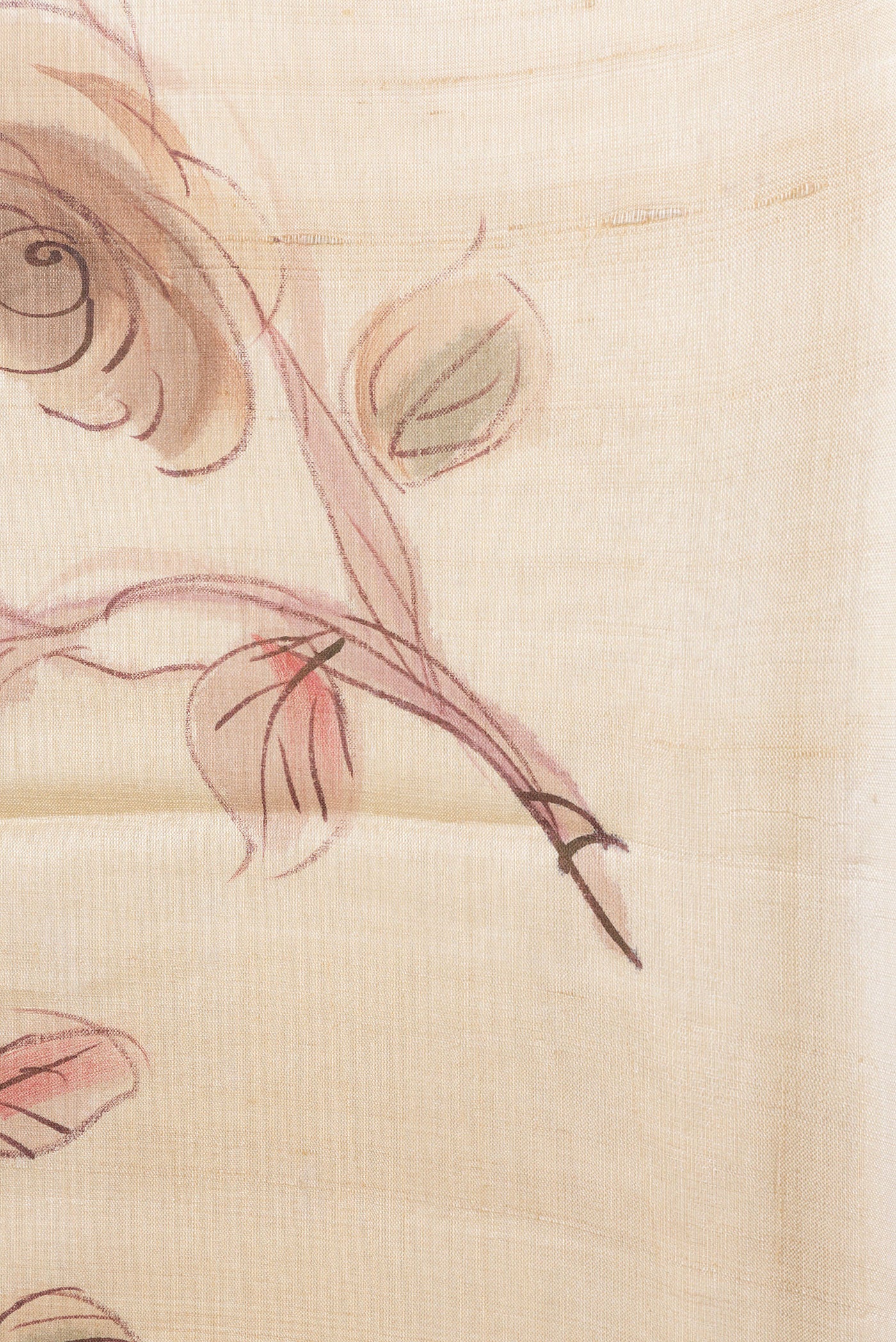 Border image of Beige Dual Tone Tussar Silk Saree with Plain Body and Printed Border. 