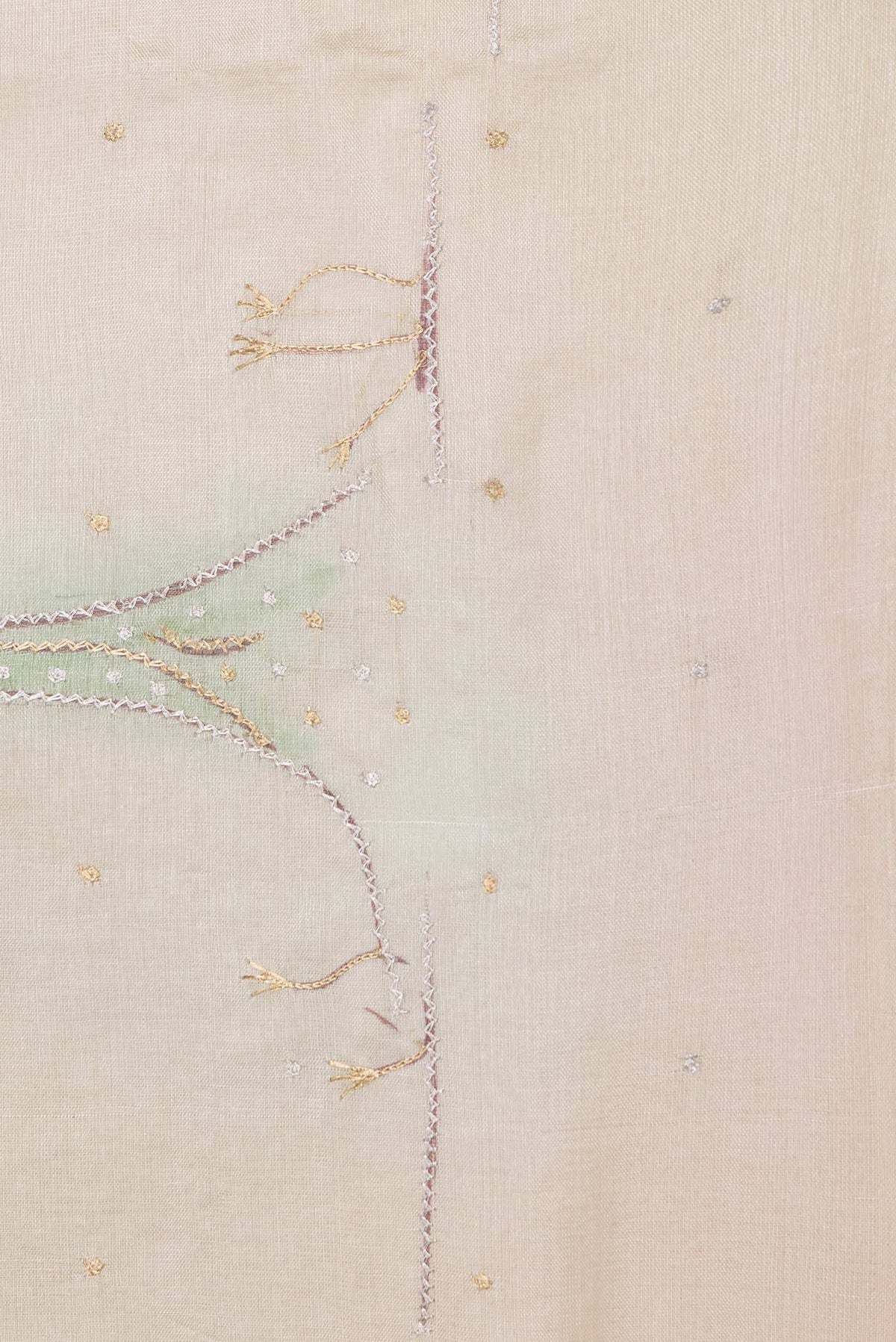 Border image of Beige Dual Tone Tussar Saree with Embroidery on the body and Embroidery Border