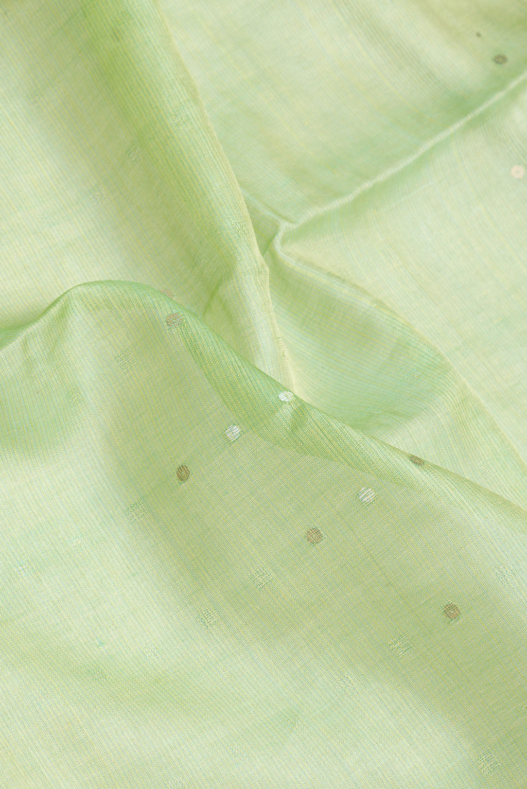 Close up of Pista Green Dual Tone Tussar Silk Saree with Embroidery on the body and Embroidery Border.  displaying folds