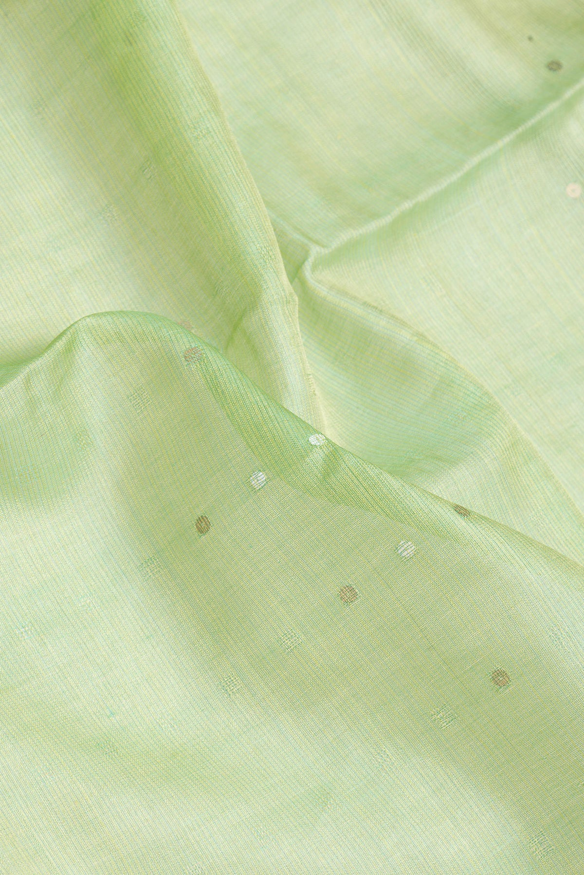 Close up of Pista Green Dual Tone Tussar Silk Saree with Embroidery on the body and Embroidery Border.  displaying folds