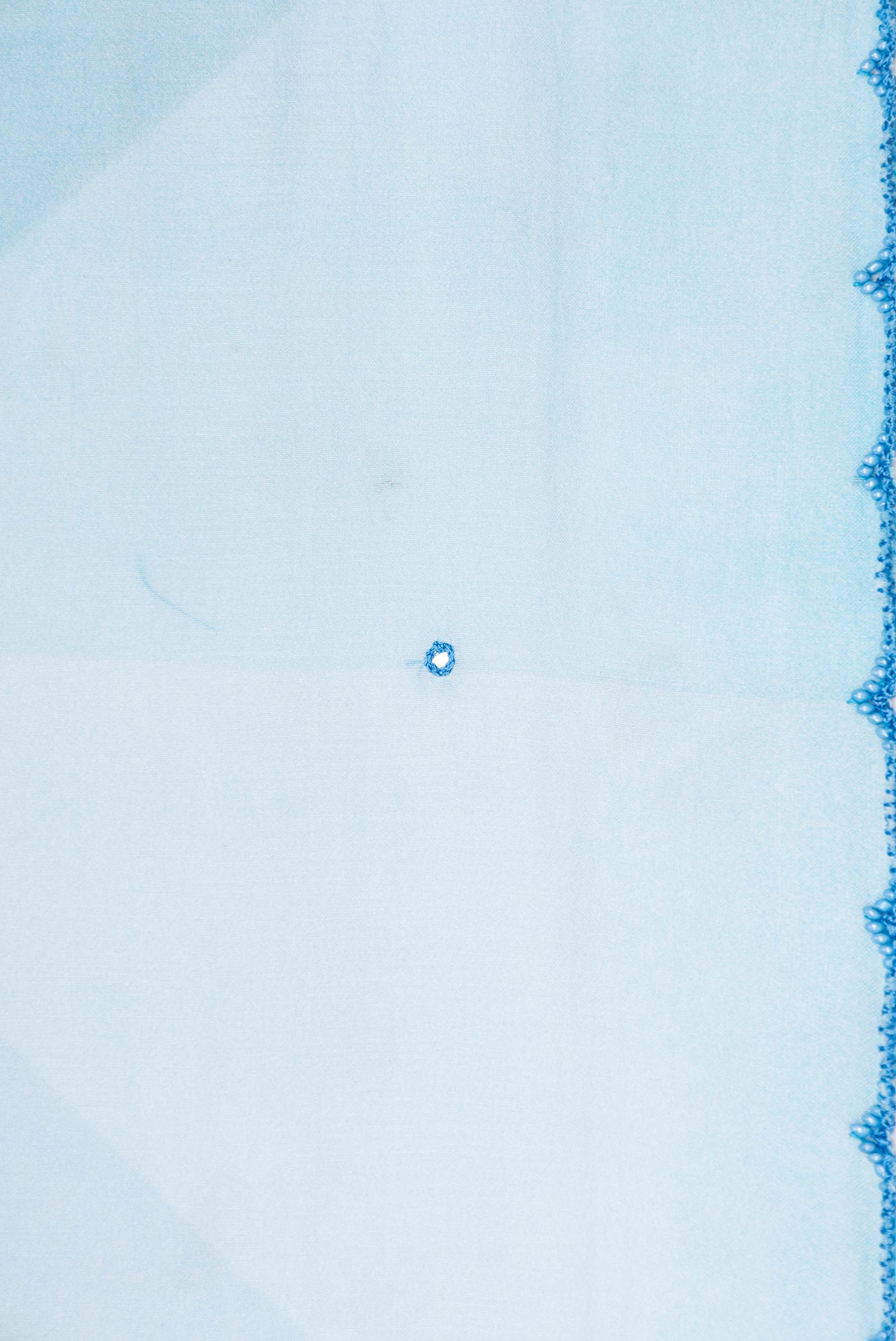 Border image of Blue Dual Tone Tussar Saree with Embroidery on the body and Embroidery Border