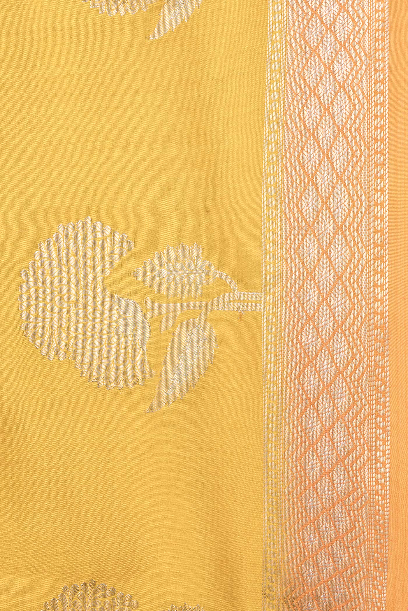 Border image of Mustard Dual Tone Tussar Silk Saree with Zari Butta on the body and Zari Border. 