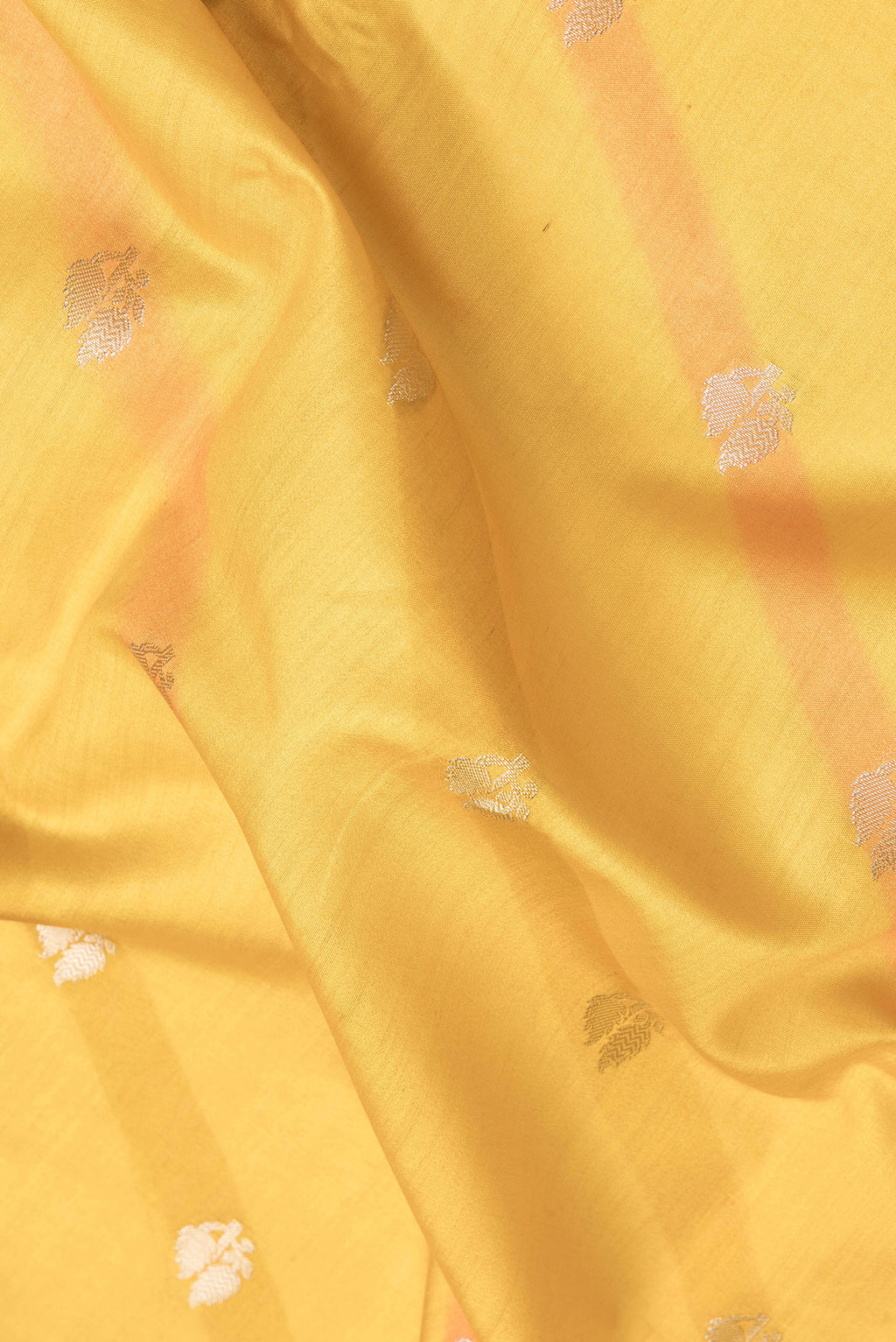 Close up of Mustard Dual Tone Tussar Silk Saree with Zari Butta on the body and Zari Border.  displaying folds