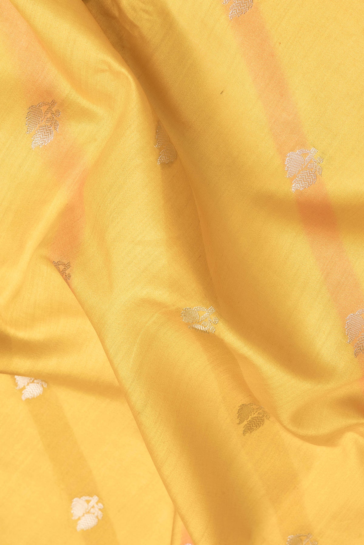 Close up of Mustard Dual Tone Tussar Silk Saree with Zari Butta on the body and Zari Border.  displaying folds