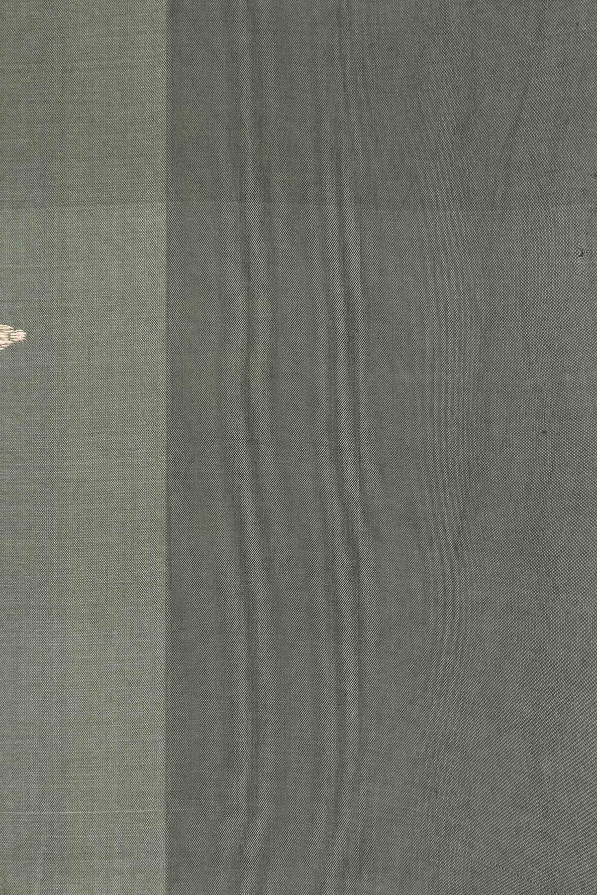 Border image of Blue Grey Dual Tone Tussar Silk Saree with Zari Brocade on the body and Without Border
