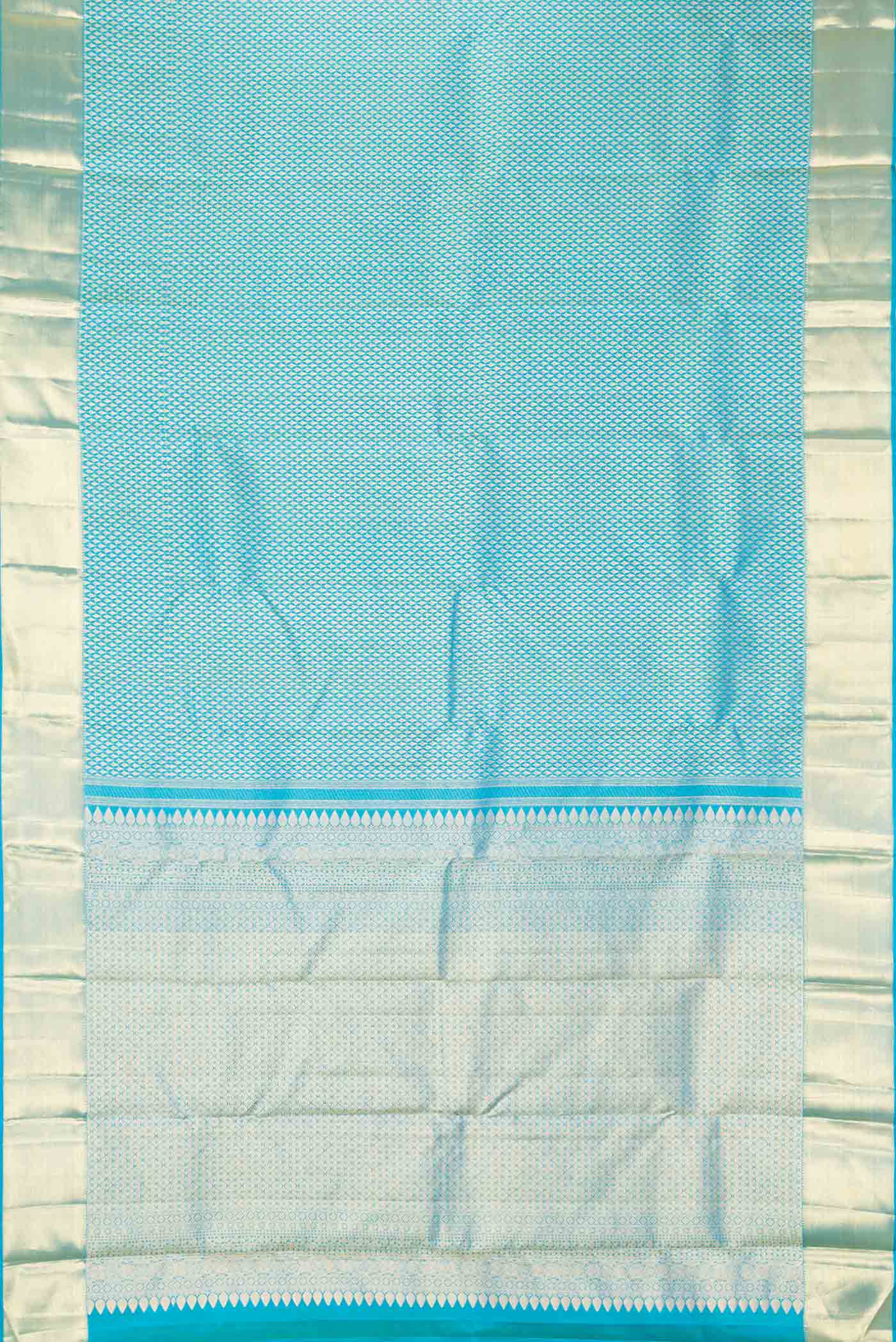 pallu body