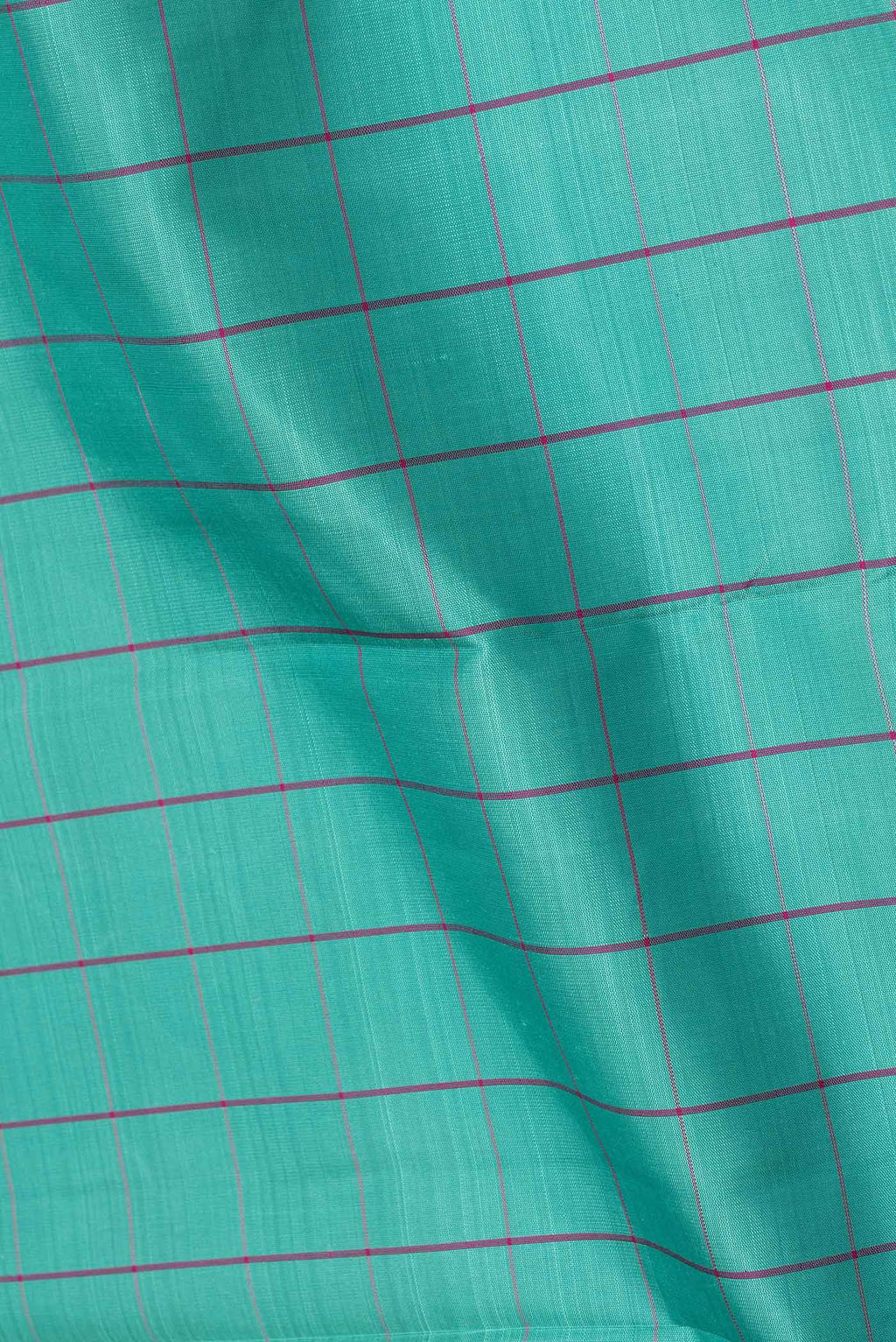 Close up of Green Dual Tone Kanchipuram Saree with Checked design on the body and Thread Border.  displaying folds