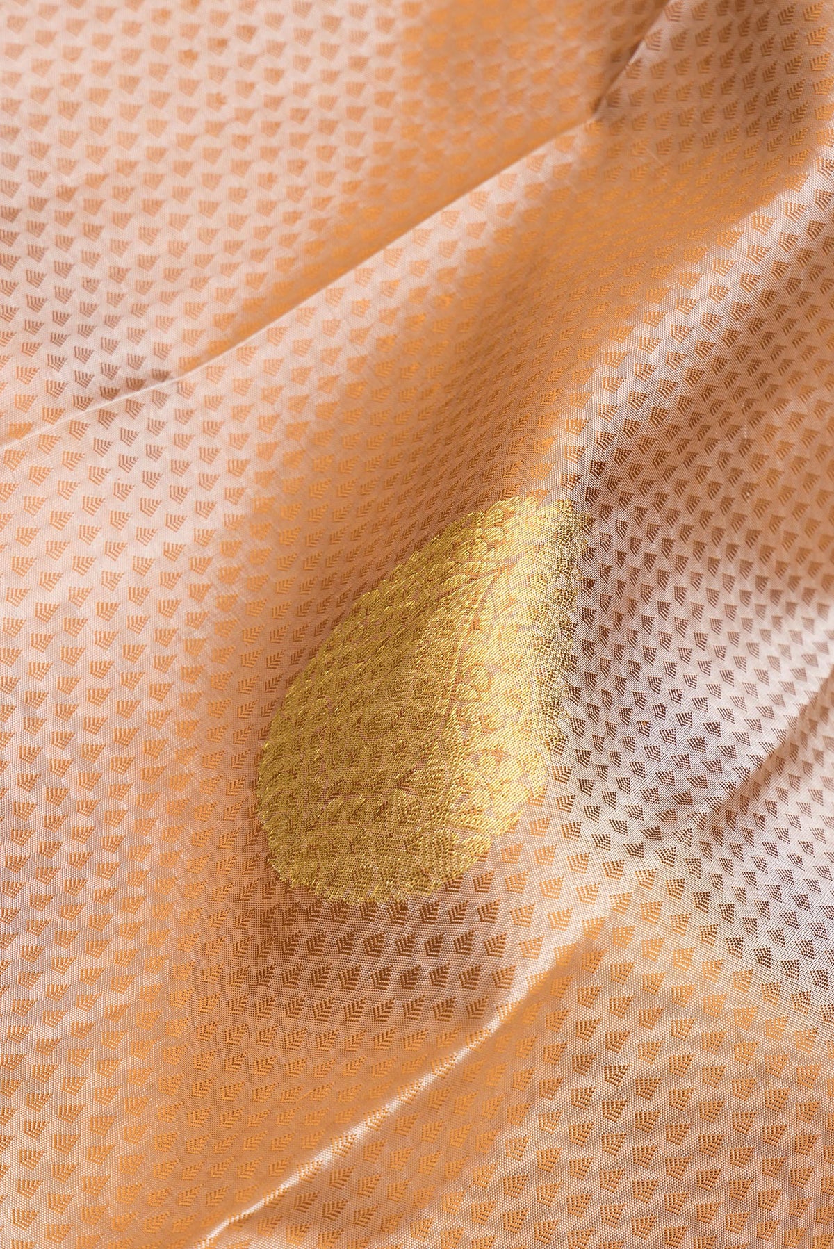 Close up of Pure Silk Beige Dual Tone Kanchipuram Saree with Jacquard With Zari Butta on the body and Zari Border.  displaying folds