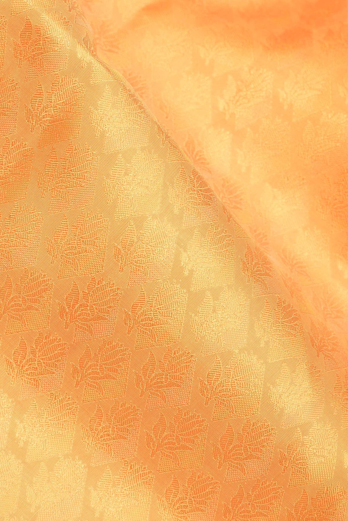 Close up of Pure Silk Pure Zari Mustard Kanchipuram Saree with Jacquard design on the body and Zari Border.  displaying folds