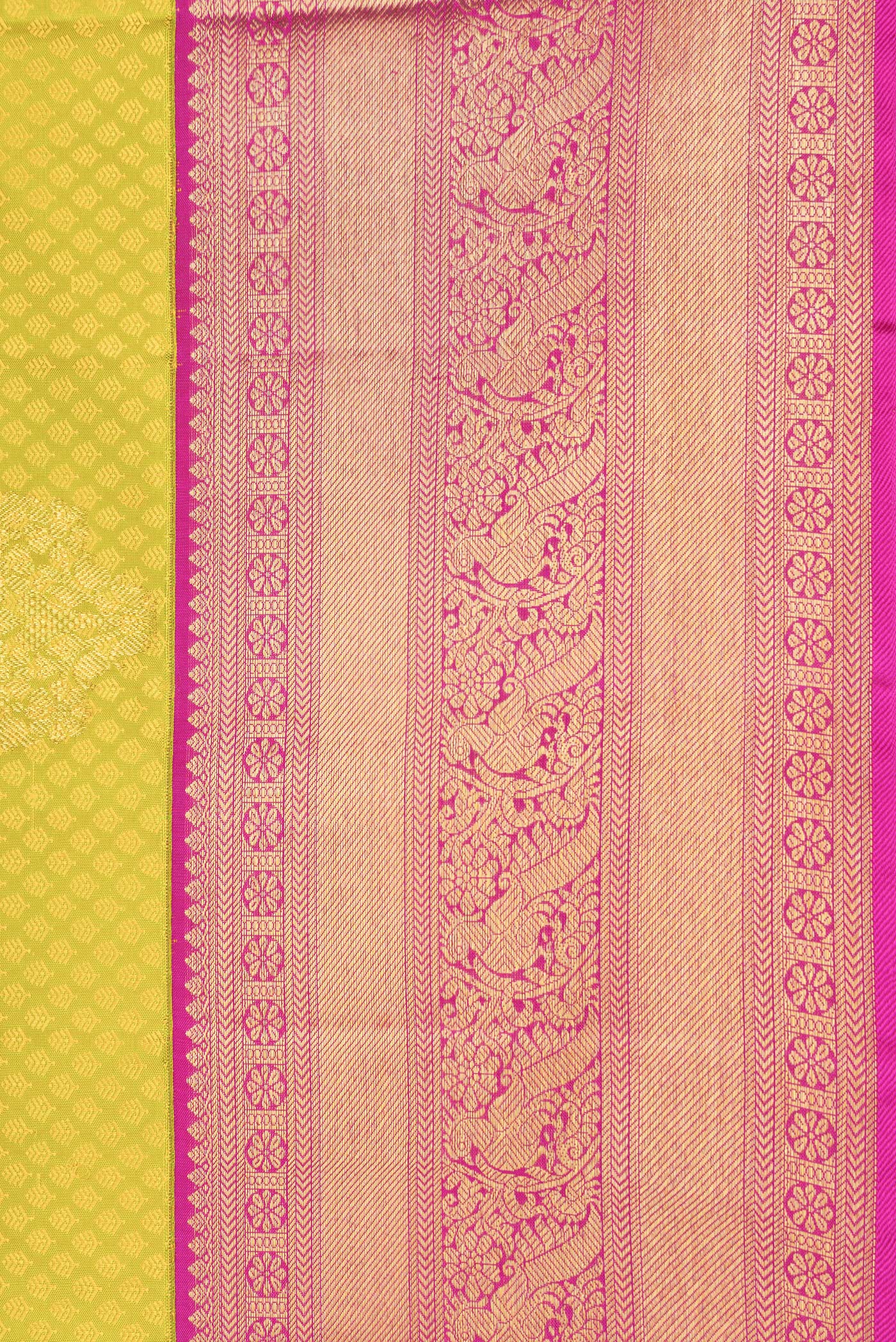 Border image of Parrot Green Dual Tone Kanjivaram Silk Saree with Jacquard With Zari Butta on the body and Zari Border. 