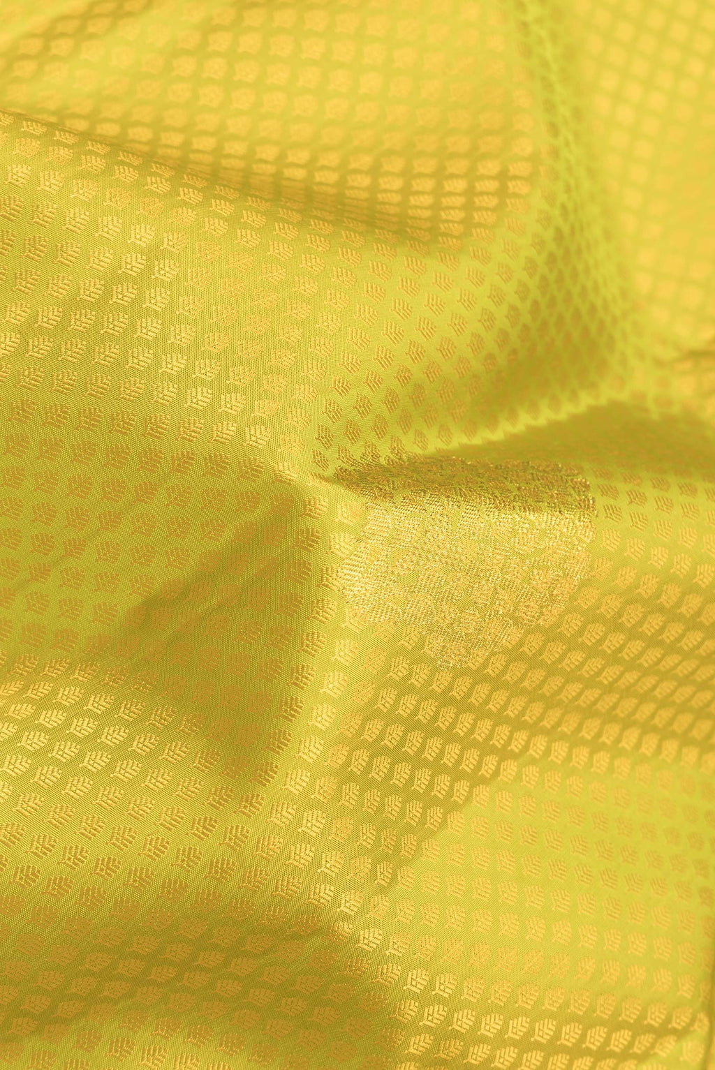 Close up of Parrot Green Dual Tone Kanjivaram Silk Saree with Jacquard With Zari Butta on the body and Zari Border.  displaying folds