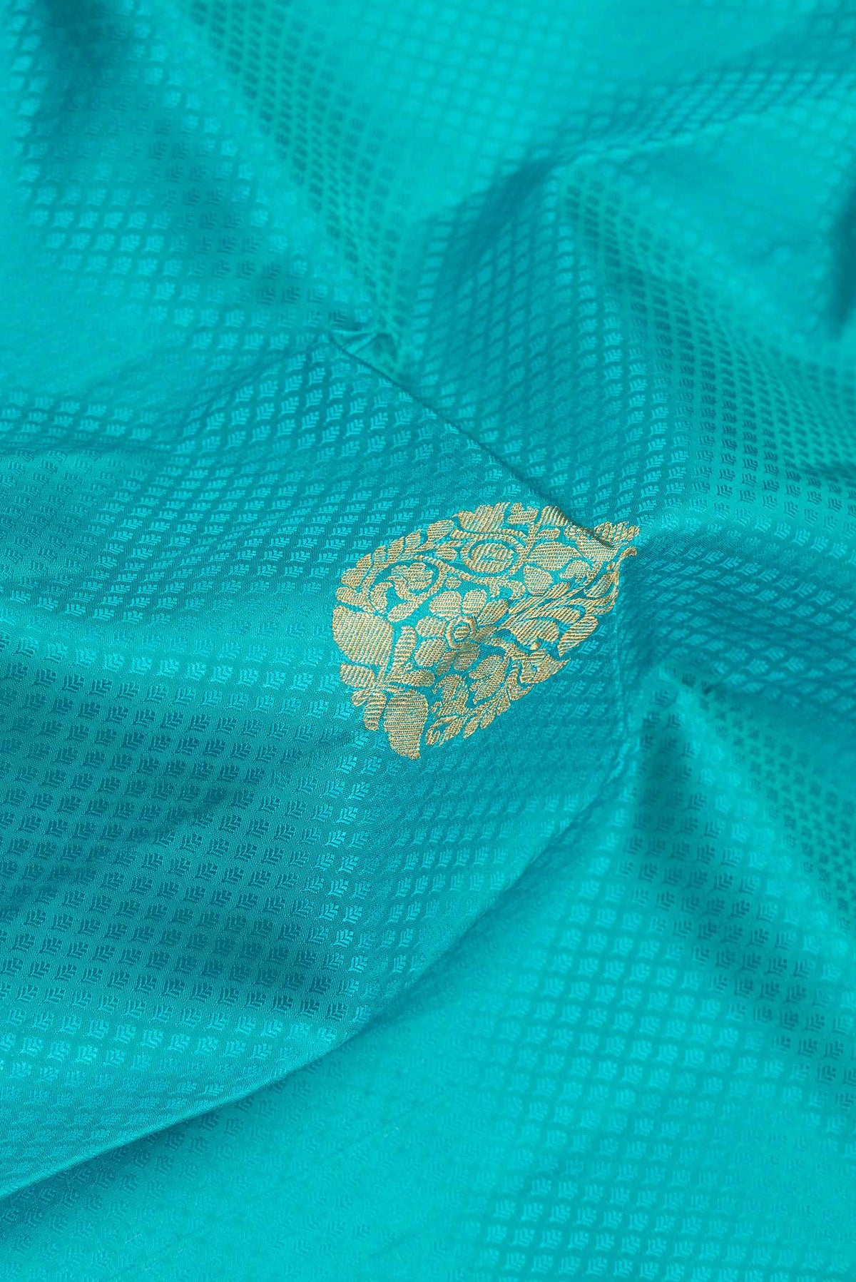 Close up of Sea Green Dual Tone Kanjivaram Silk Saree with Jacquard With Zari Butta on the body and Zari Border.  displaying folds
