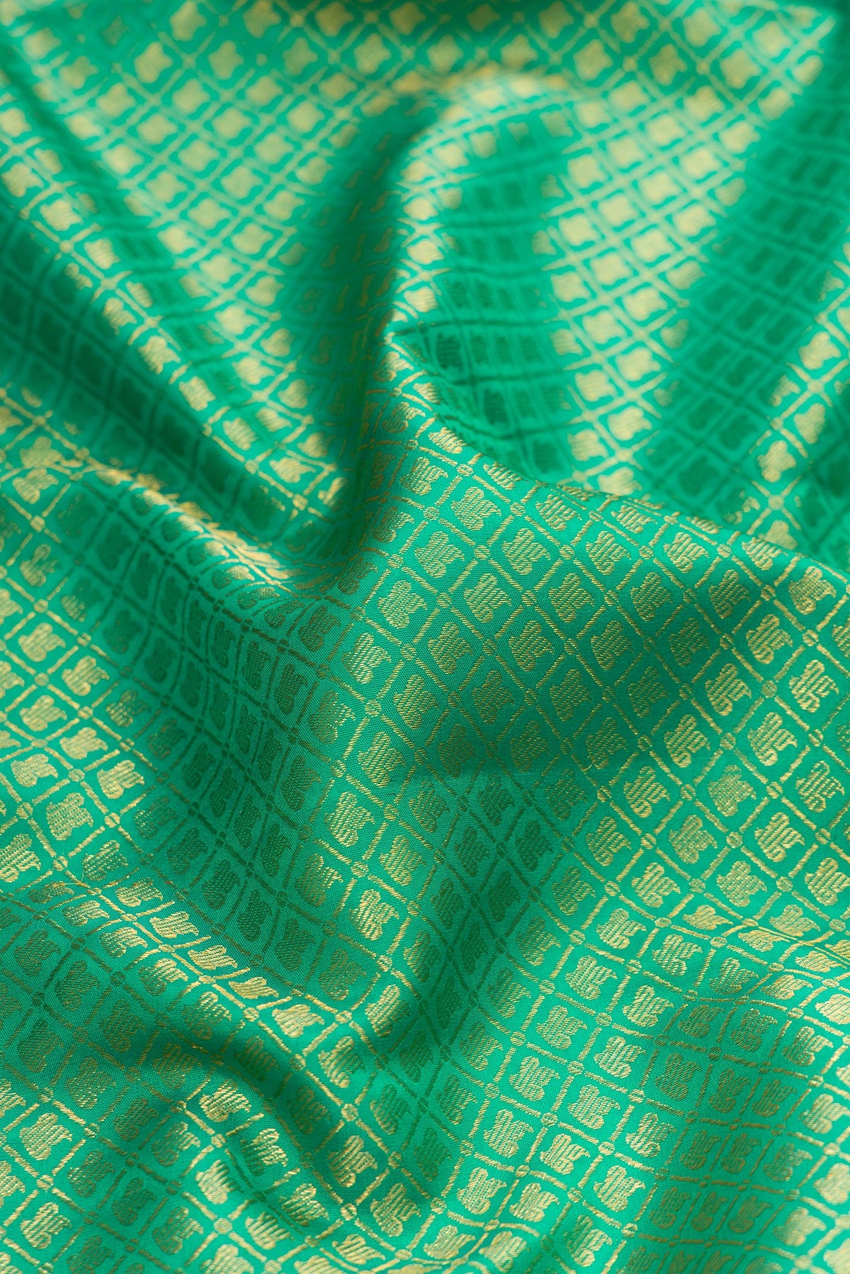 Close up of Green Dual Tone Kanchipuram Silk Saree with Zari Brocade on the body and Zari Border.  displaying folds