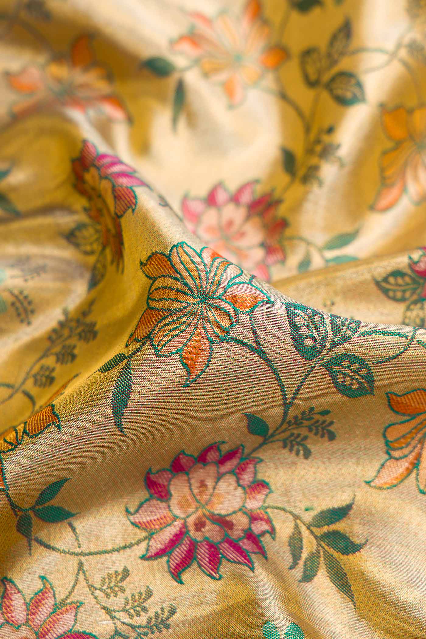 Close up of Gold Dual Tone Kanjivaram Tissue Silk Saree with Zari Brocade on the body and Zari Border.  displaying folds