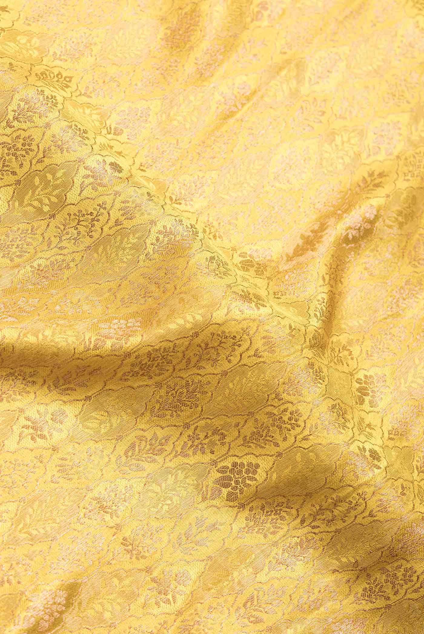 Close up of Mustard Dual Tone Mysore Crepe Saree with Zari Brocade on the body and Zari And Thread Border.  displaying folds