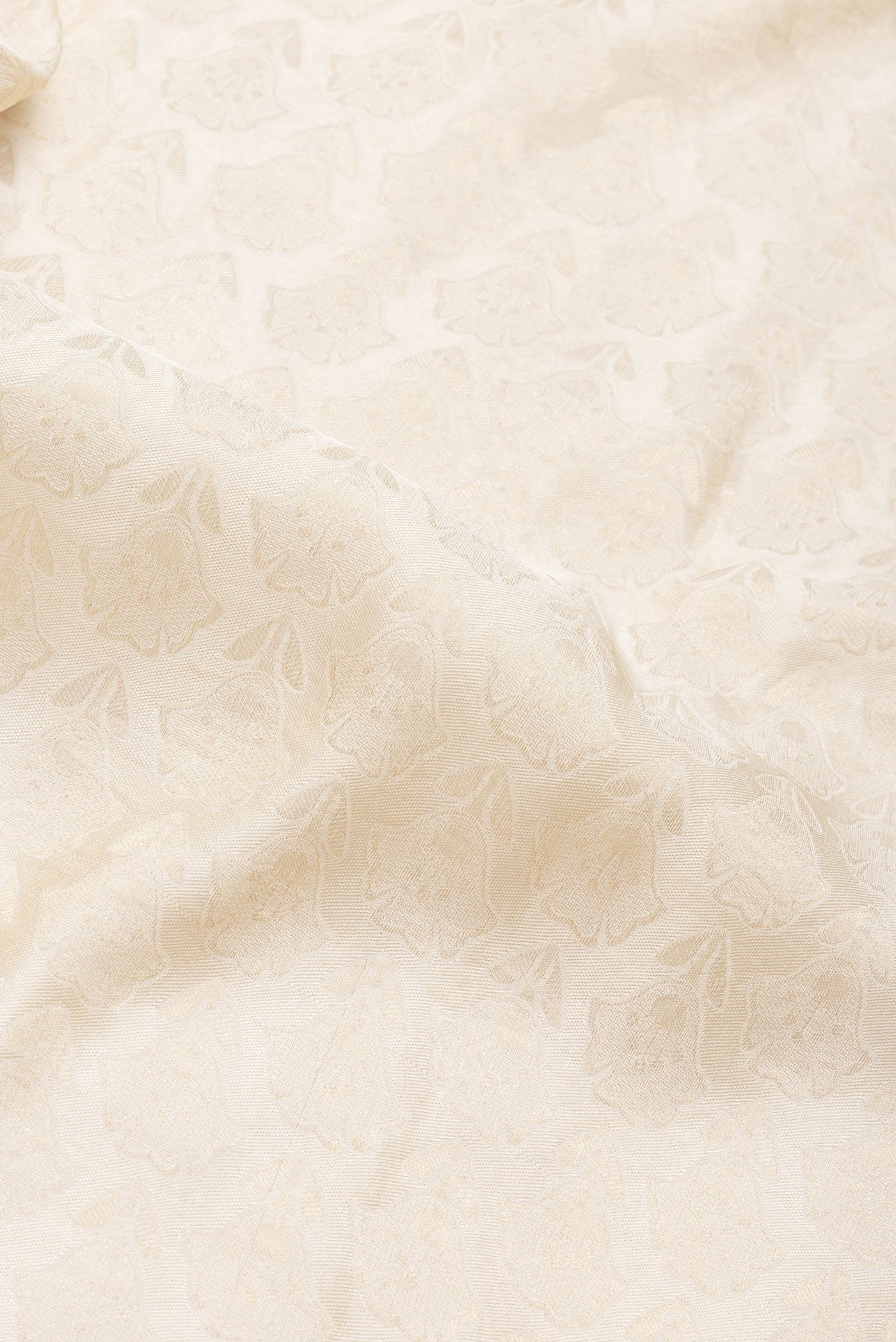 Close up of Beige Dual Tone Mysore Georgette Saree with Zari Brocade on the body and Zari Border.  displaying folds