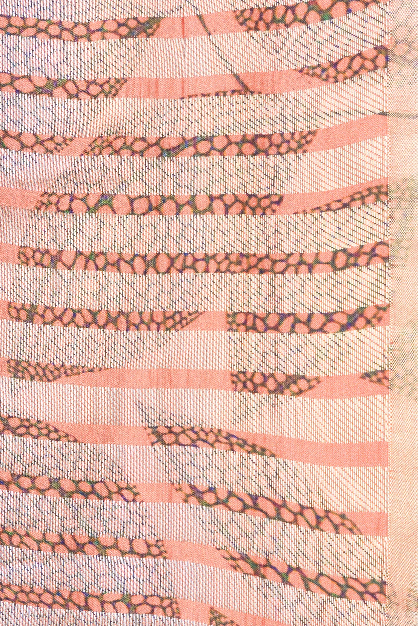 Border image of Peach Dual Tone Tussar Silk Saree with Stripes on the body and Without Border. 
