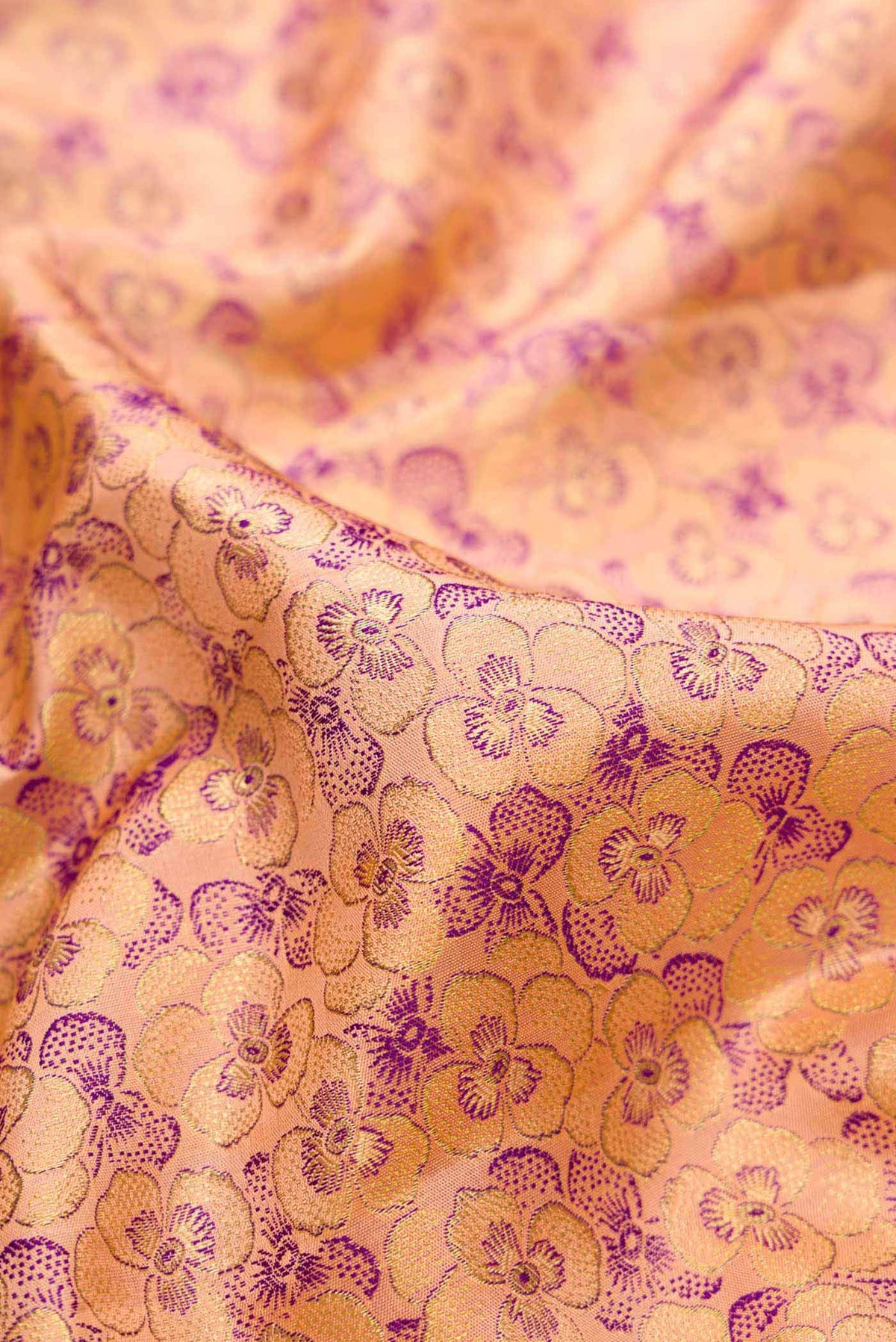 Close up of Peach Dual Tone Kanjivaram Silk Saree with Zari Brocade on the body and Zari Border.  displaying folds