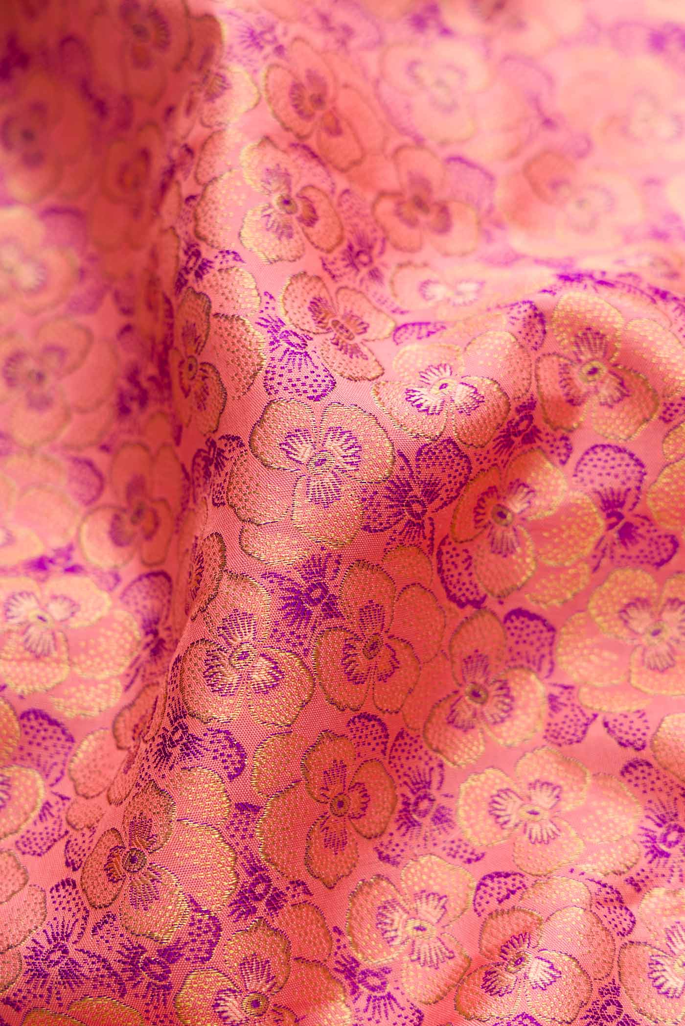 Close up of Golden Peach Dual Tone Kanchipuram Silk Saree with Zari Brocade on the body and Fancy Border displaying folds