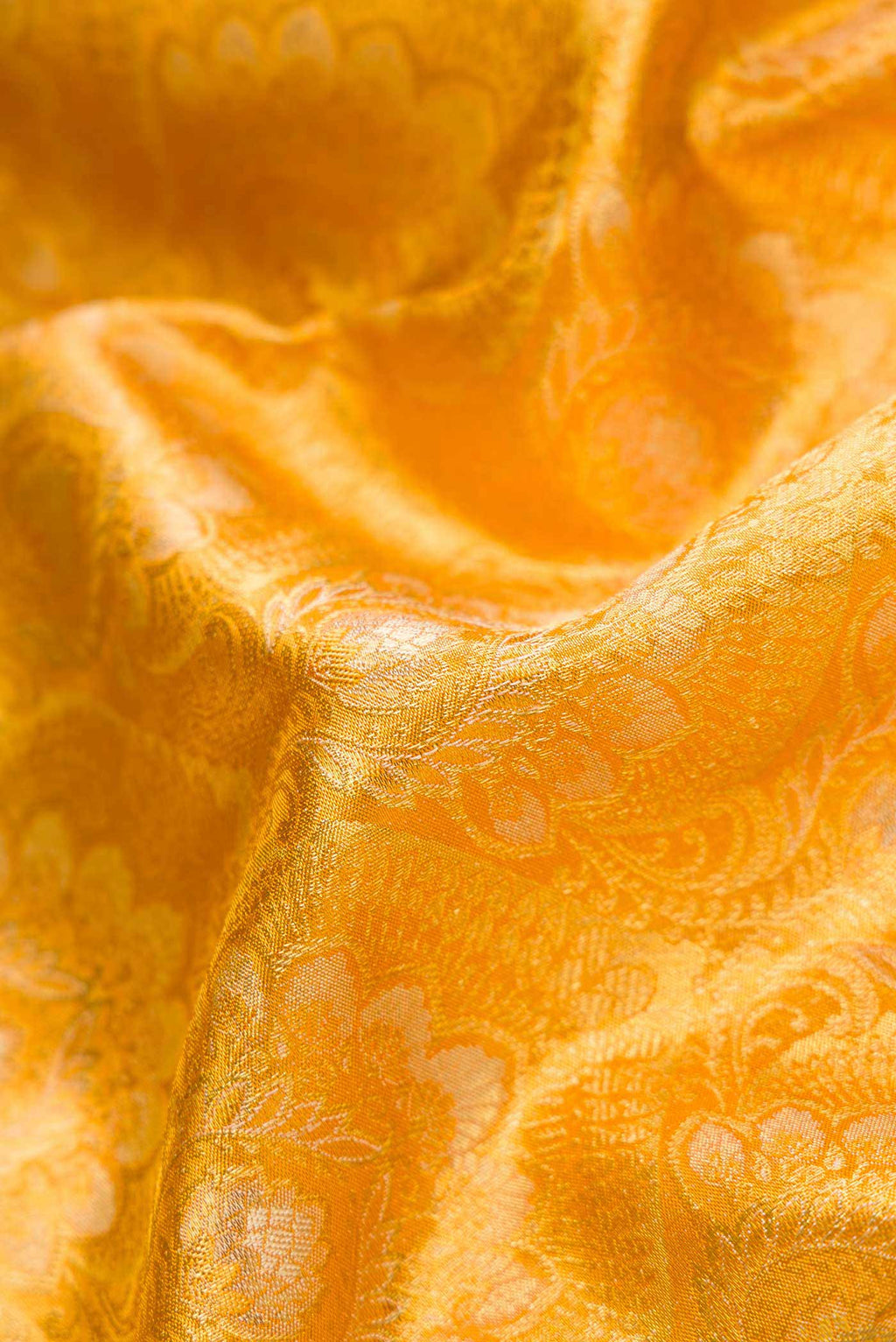 Close up of Gold Dual Tone Kanjivaram Tissue Silk Saree with Zari Brocade on the body and Zari Border.  displaying folds