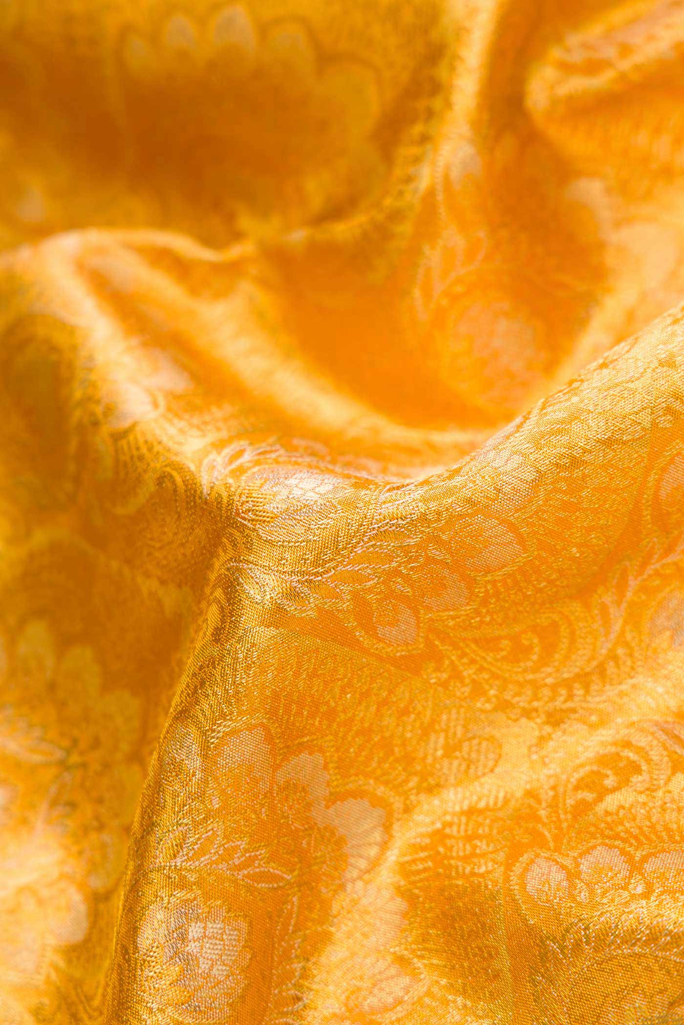 Close up of Gold Dual Tone Kanjivaram Tissue Silk Saree with Zari Brocade on the body and Zari Border.  displaying folds