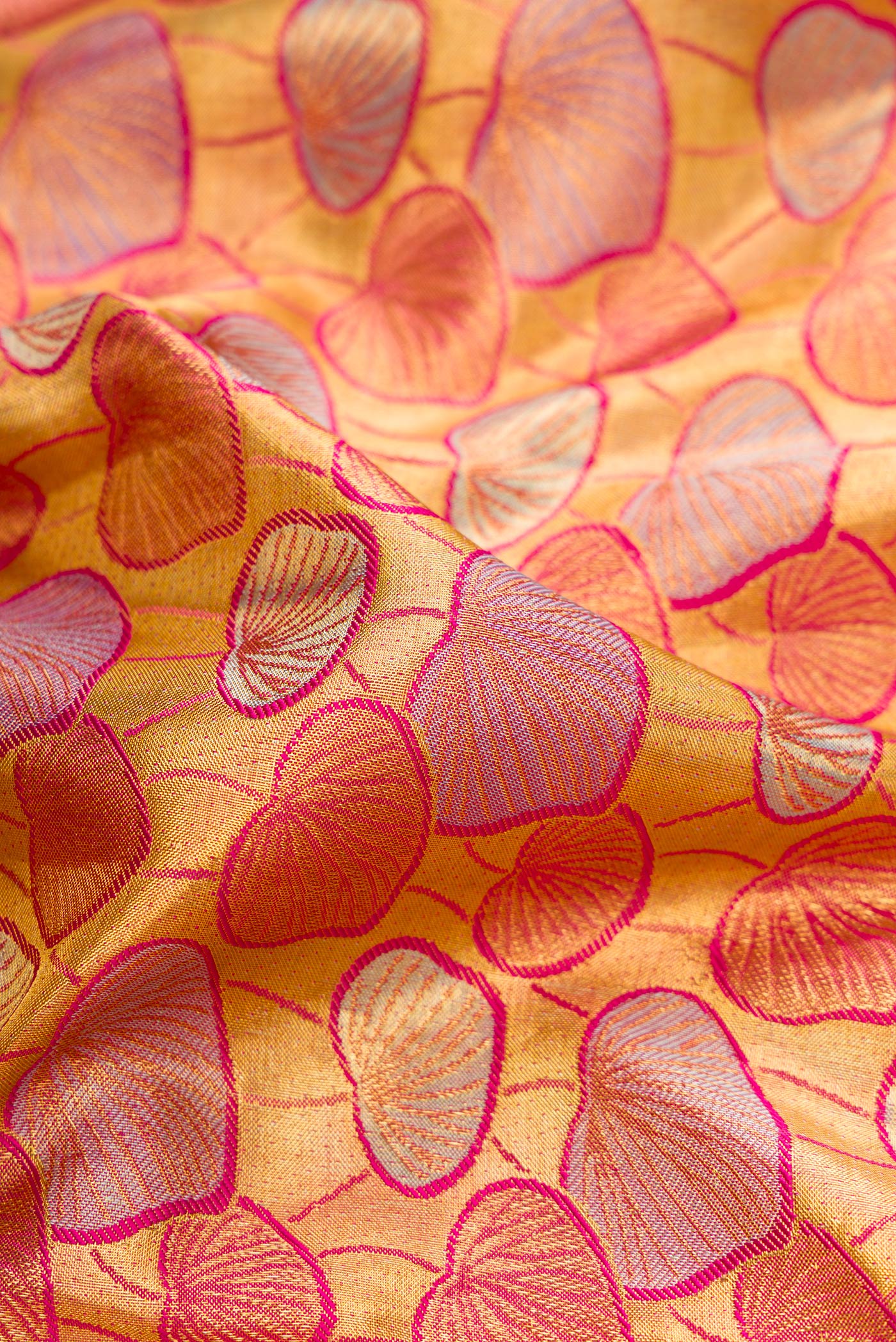 Close up of Gold Dual Tone Kanchipuram Tissue Silk Saree with Zari Brocade on the body and Zari Border.  displaying folds