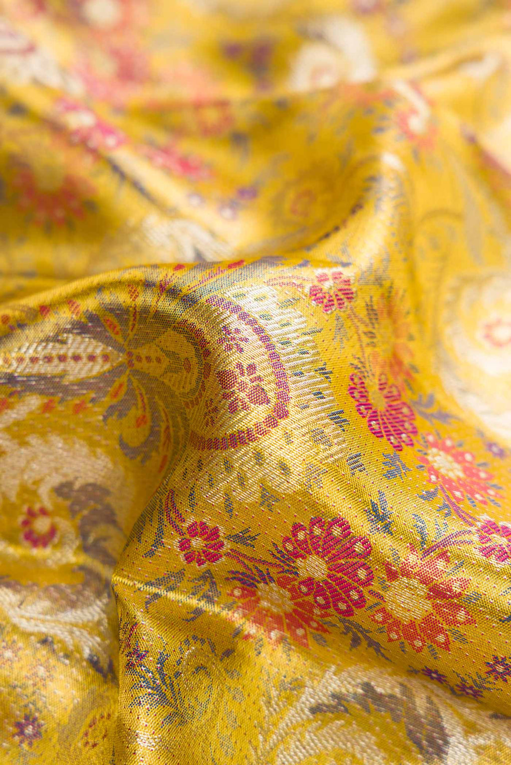 Close up of Gold Dual Tone Kanchipuram Tissue Silk Saree with Zari Brocade on the body and Zari Border.  displaying folds