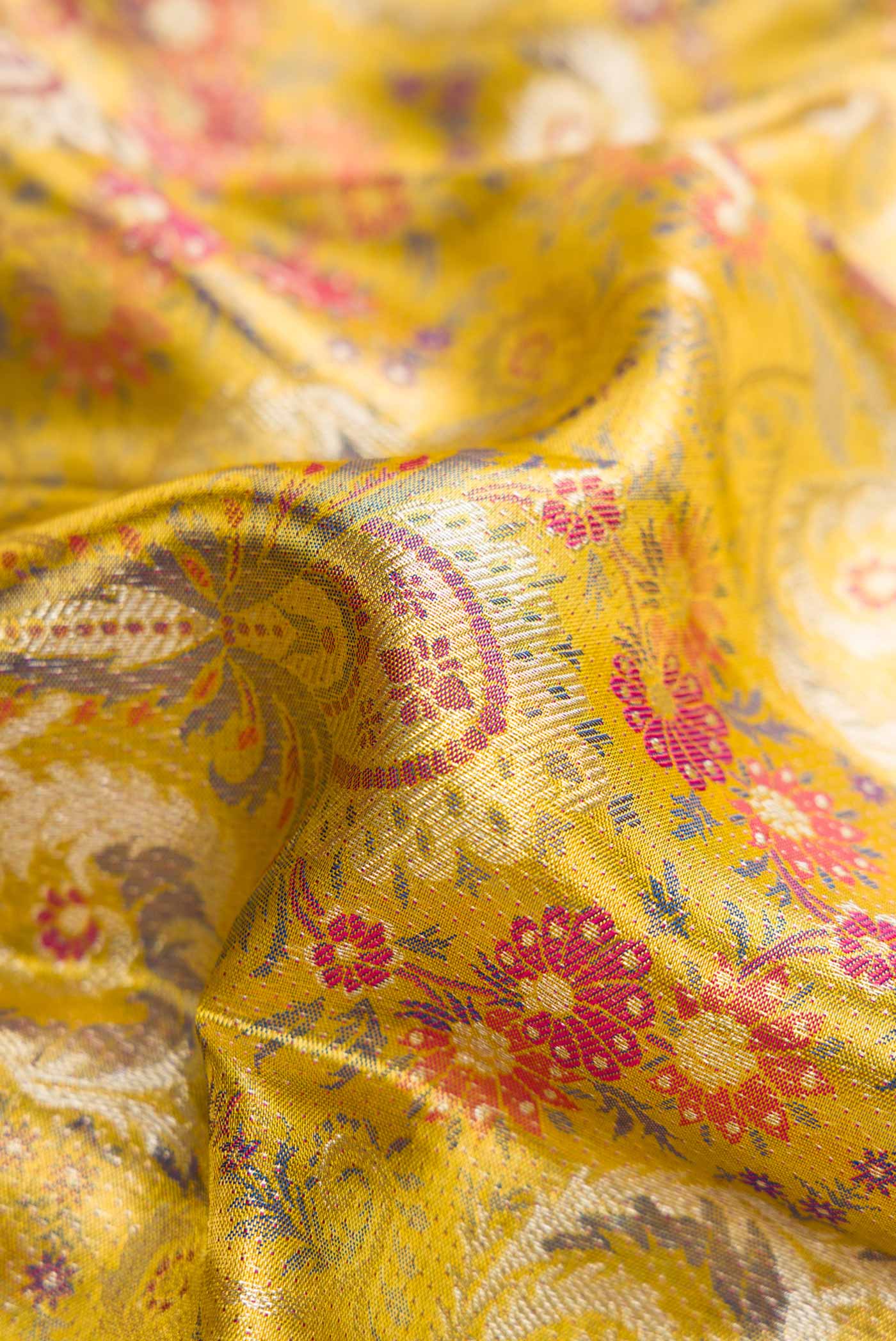 Close up of Gold Dual Tone Kanchipuram Tissue Silk Saree with Zari Brocade on the body and Zari Border.  displaying folds