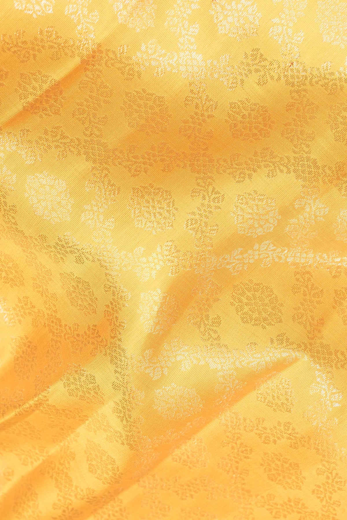 Close up of Pure Silk Yellow Kanchipuram Saree with Zari Brocade on the body and Zari Border.  displaying folds