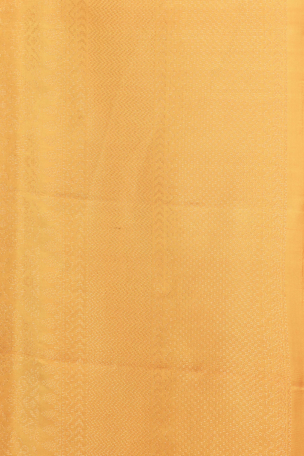 Border image of Yellow Dual Tone Soft Silk Saree with Zari Brocade on the body and Zari Border. 