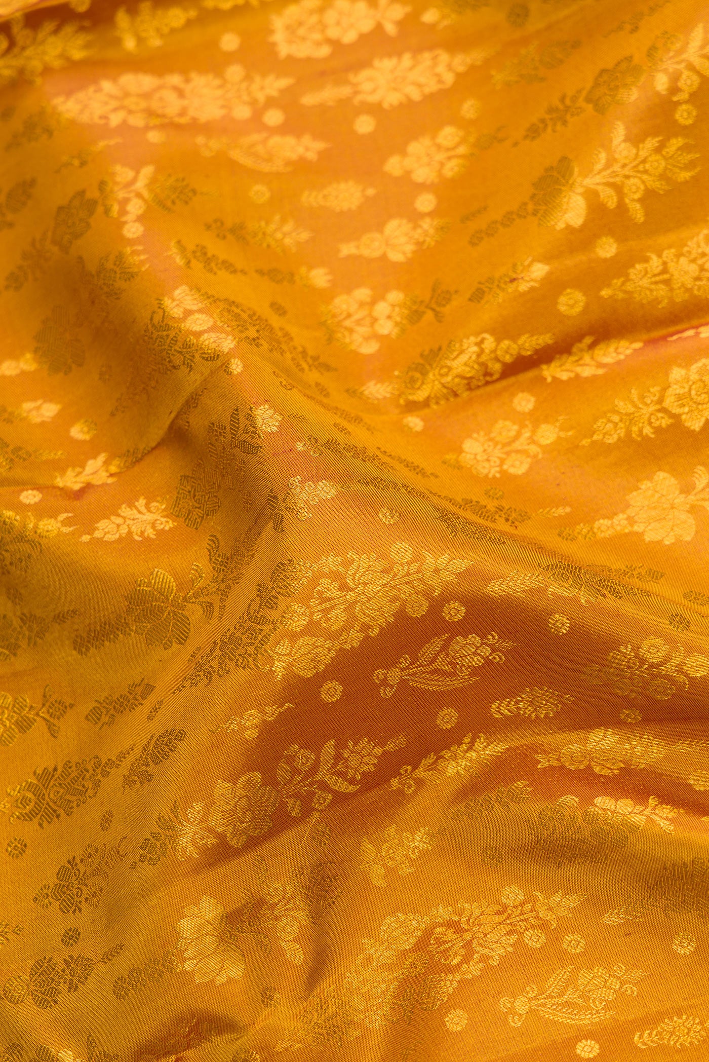Close up of Gold Dual Tone Kanchipuram Silk Saree with Zari Brocade on the body and Zari Border.  displaying folds