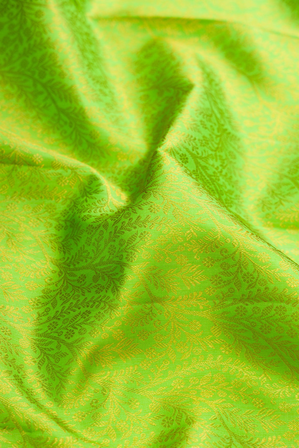 Close up of Parrot Green Dual Tone Kanchipuram Silk Saree with Zari Brocade on the body and Zari Border.  displaying folds