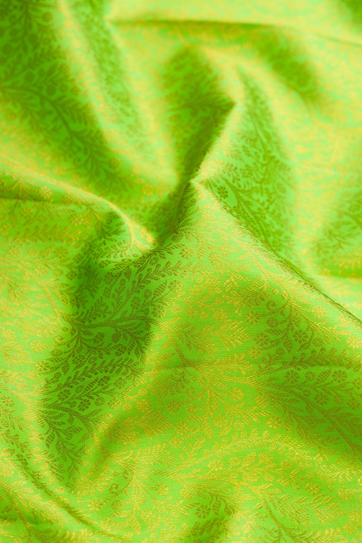 Close up of Parrot Green Dual Tone Kanchipuram Silk Saree with Zari Brocade on the body and Zari Border.  displaying folds