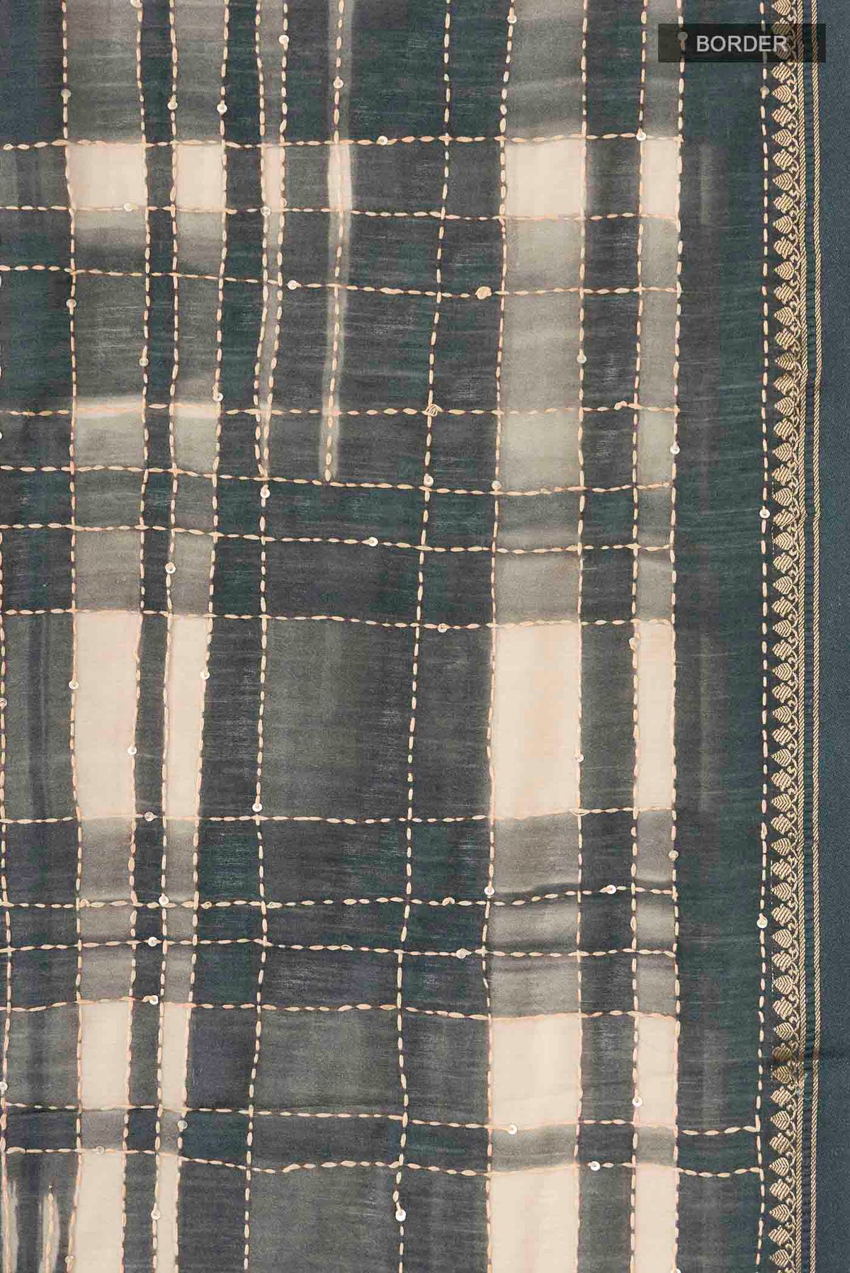 Border image of Beige Bhagalpuri Tussar Silk Saree with Embroidery on the body and Zari Border