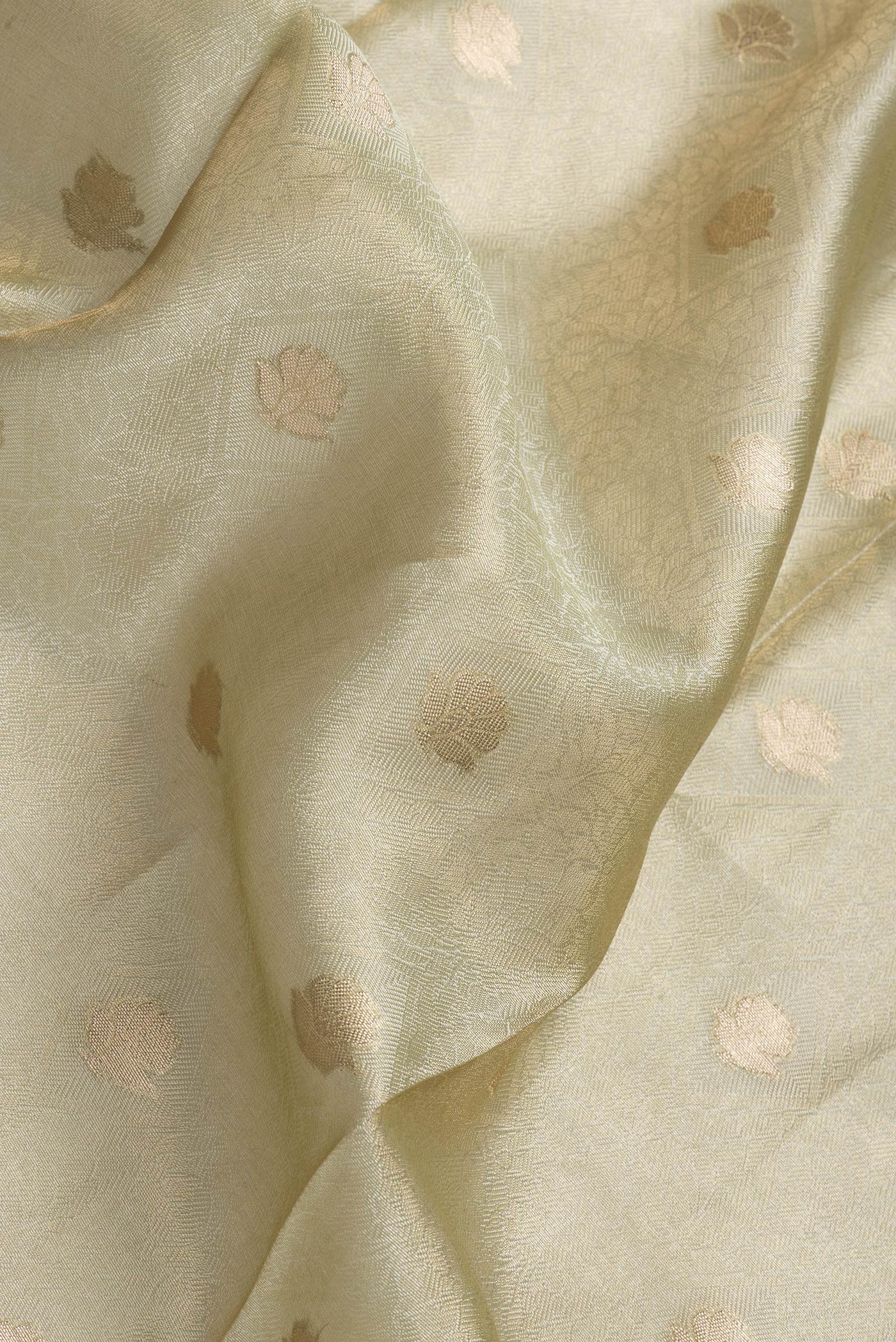 Close up of Pista Green Dual Tone Organza Silk Saree with Zari Brocade on the body and Zari Border.  displaying folds