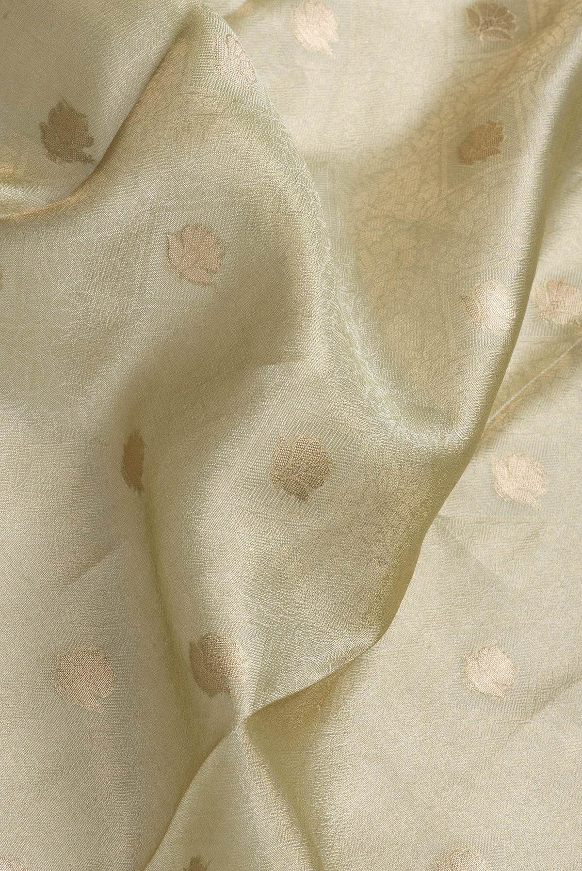 Close up of Pista Green Dual Tone Organza Silk Saree with Zari Brocade on the body and Zari Border.  displaying folds