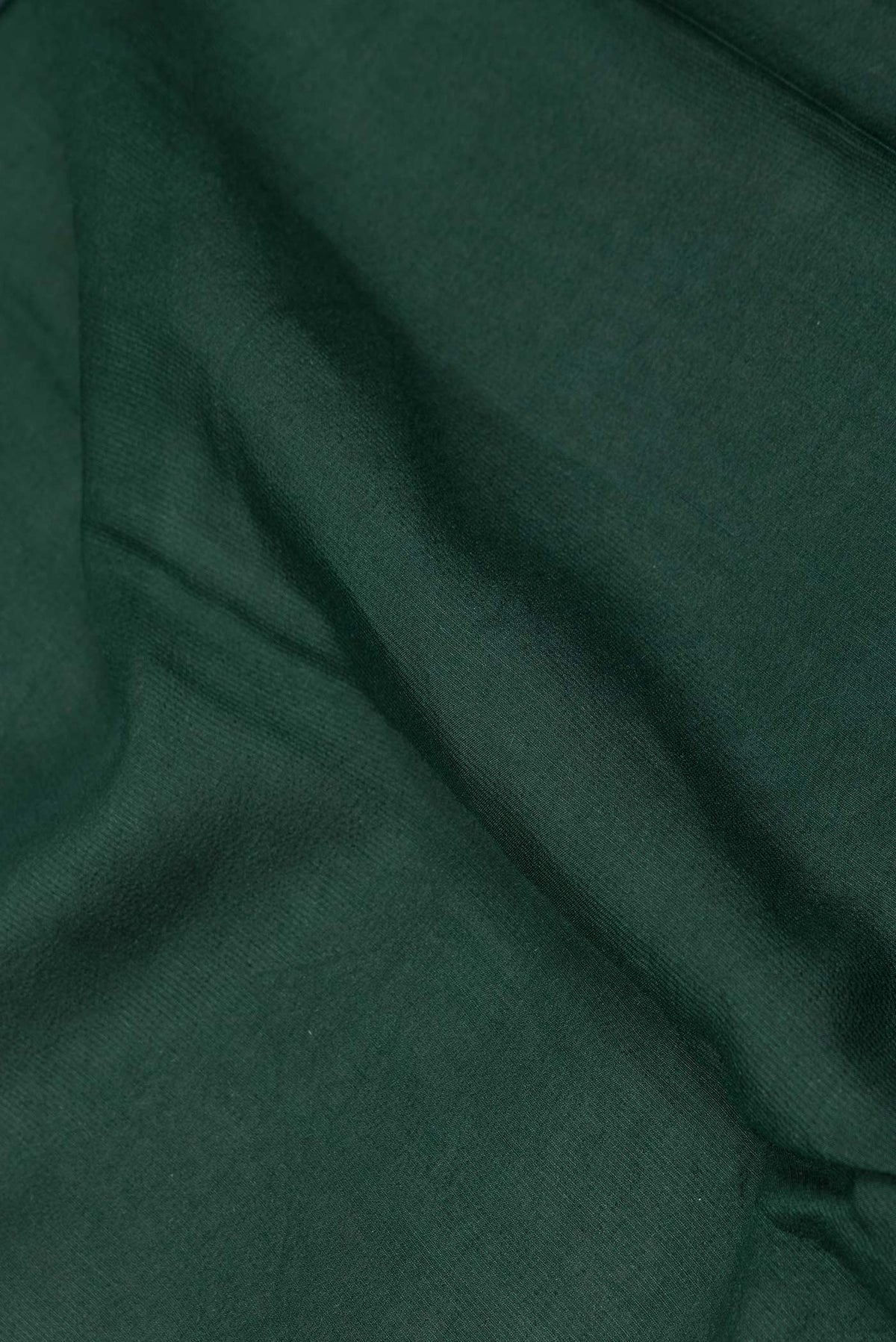 Close up of Green Dual Tone Tussar Silk Saree with Zari Butta on the body and Zari Border displaying folds