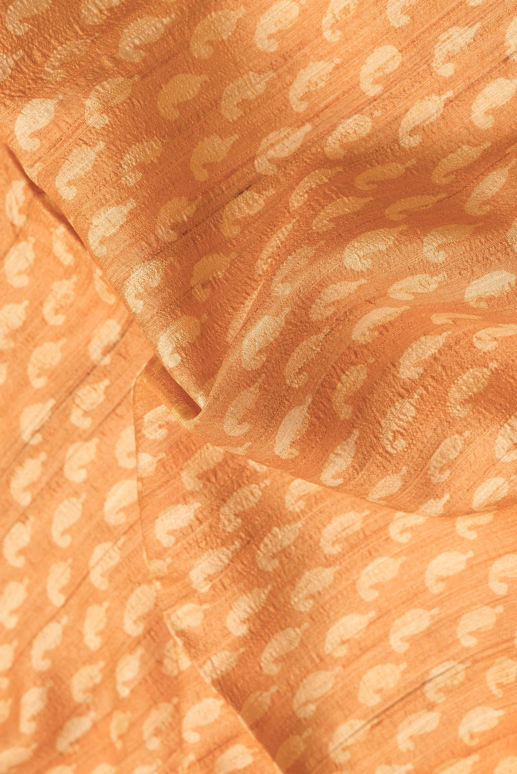 Close up of Mustard Dual Tone Tussar Silk Saree with Printed design on the body and Printed Border.  displaying folds