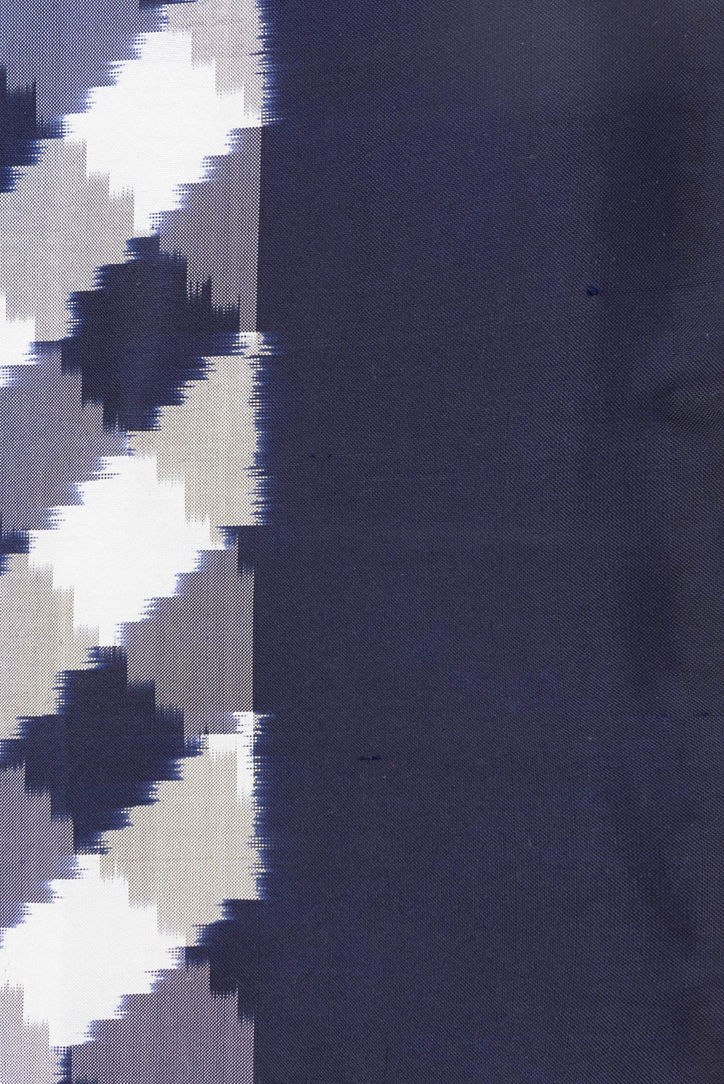 Border image of Parrot Green Dual Tone Double Ikat Saree with Ikat Print on the body and Ikat Border. 