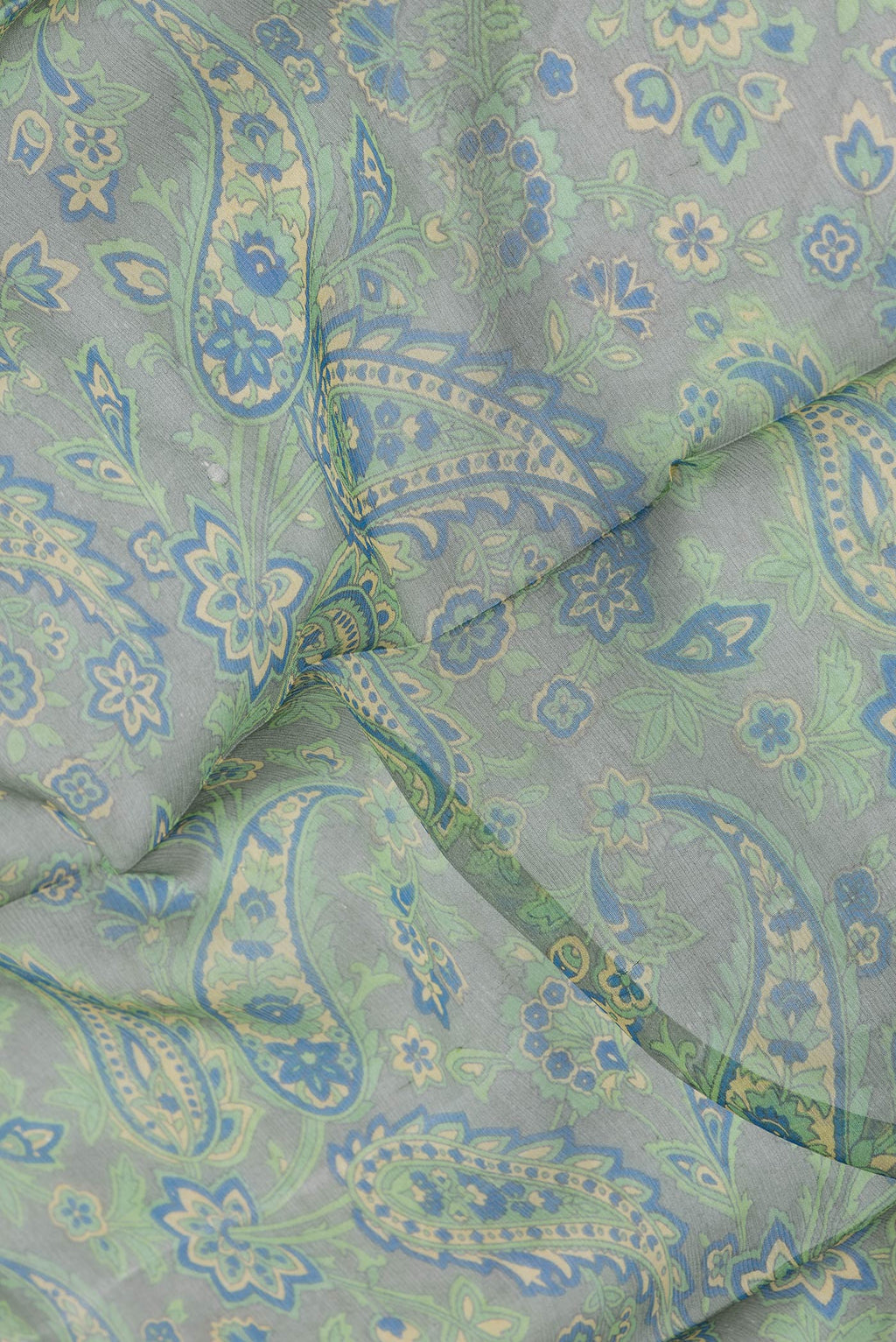 Close up of Light Green Dual Tone Mysore Chiffon Saree with Printed design on the body and Printed Border.  displaying folds