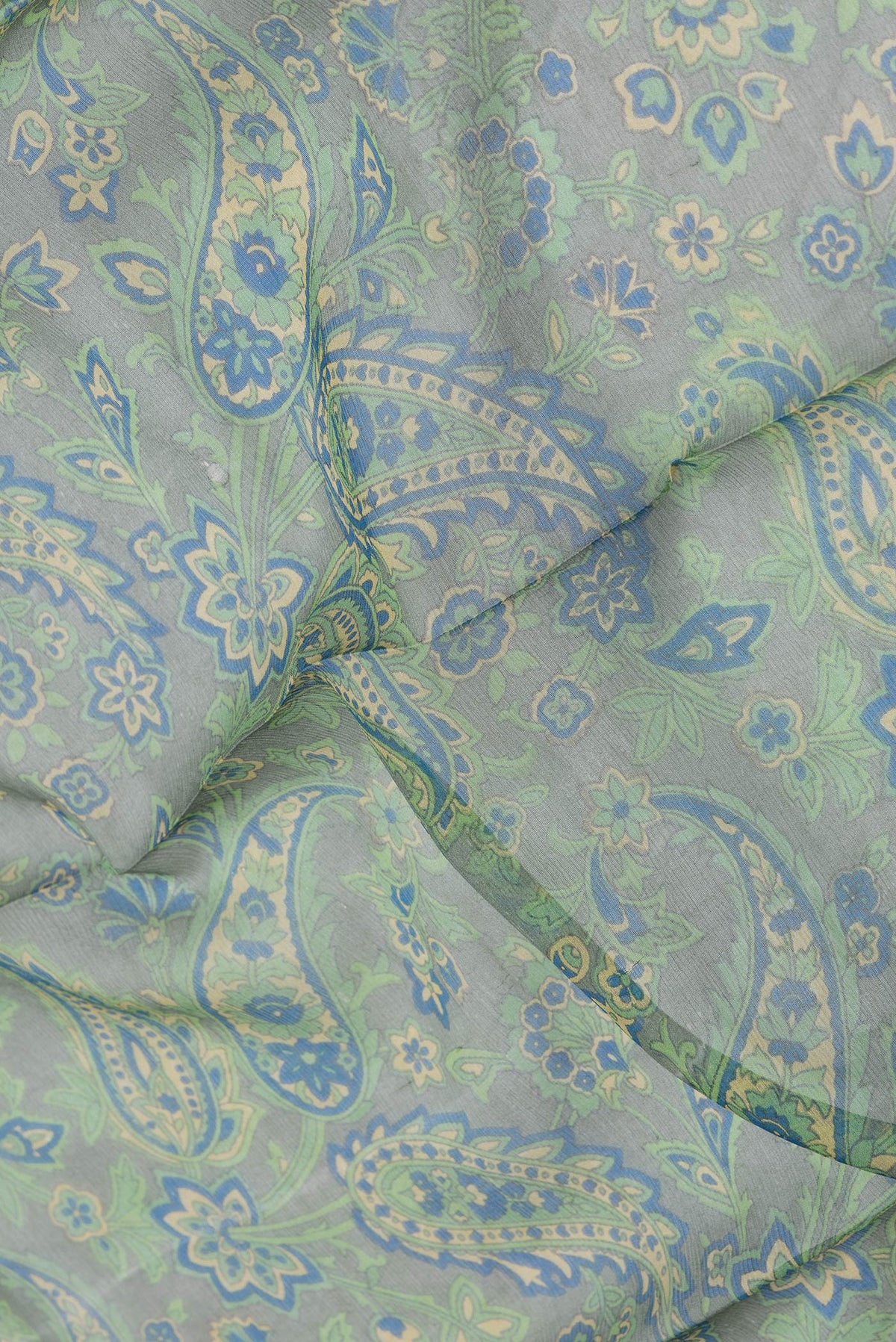 Close up of Light Green Dual Tone Mysore Chiffon Saree with Printed design on the body and Printed Border.  displaying folds