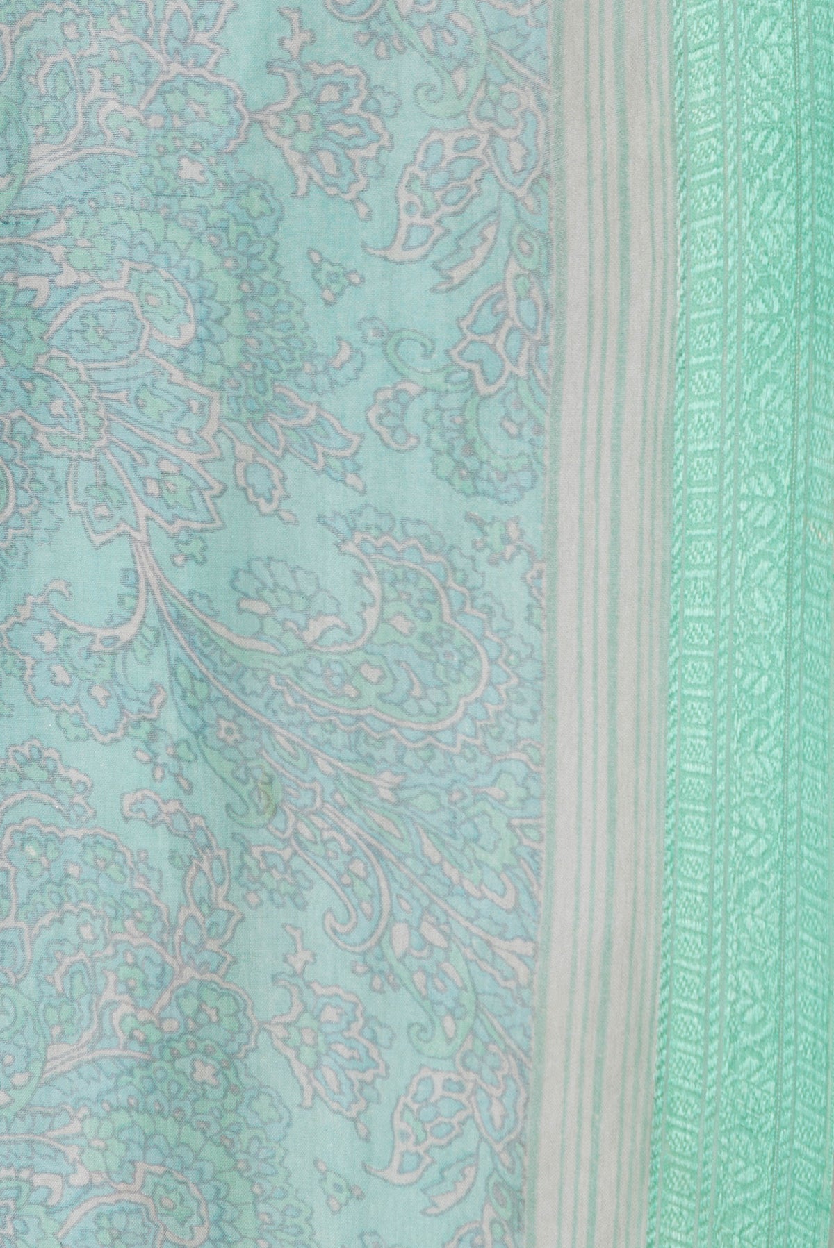 Border image of Sea Green Dual Tone Mysore Chiffon Saree with Printed design on the body and Thread Border. 