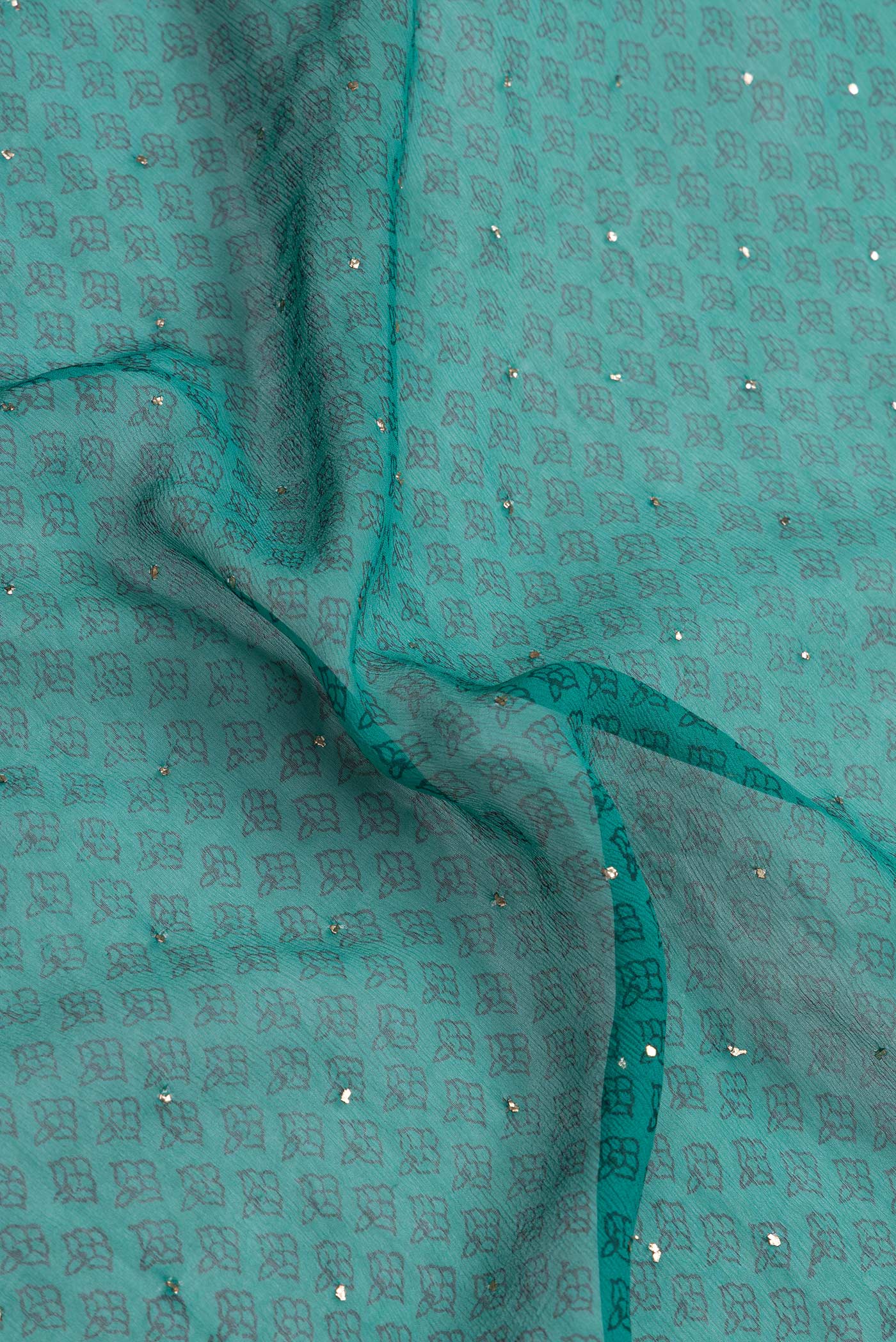Close up of Green Dual Tone Mysore Chiffon Saree with Embroidery on the body and Embroidery Border.  displaying folds