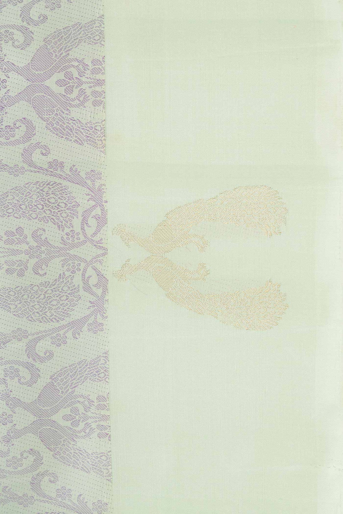 Border image of Pista Green Dual Tone Kanchipuram Silk Saree with Jacquard design on the body and Fancy Border